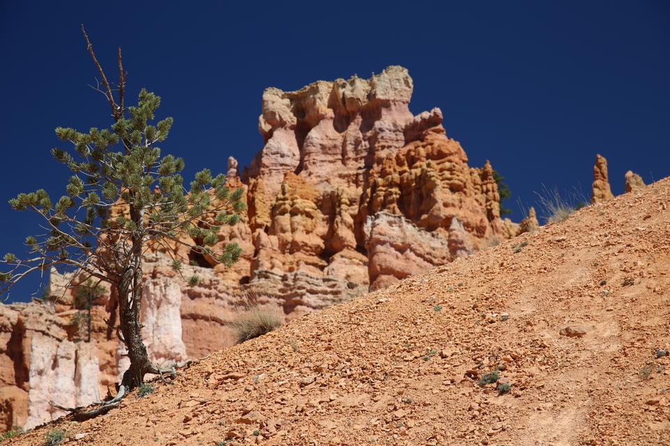 Free download high resolution image - free image free photo free stock image public domain picture  Bryce Canyon National Park at Navajo Loop Trail, Utah