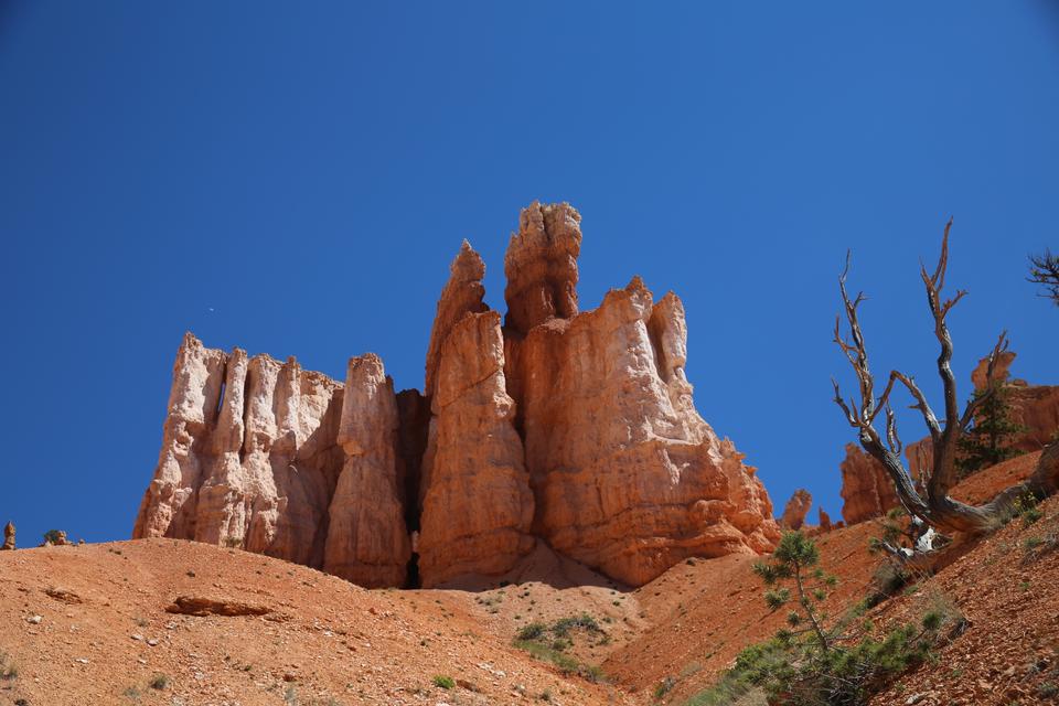 Free download high resolution image - free image free photo free stock image public domain picture  Bryce Canyon National Park at Navajo Loop Trail, Utah