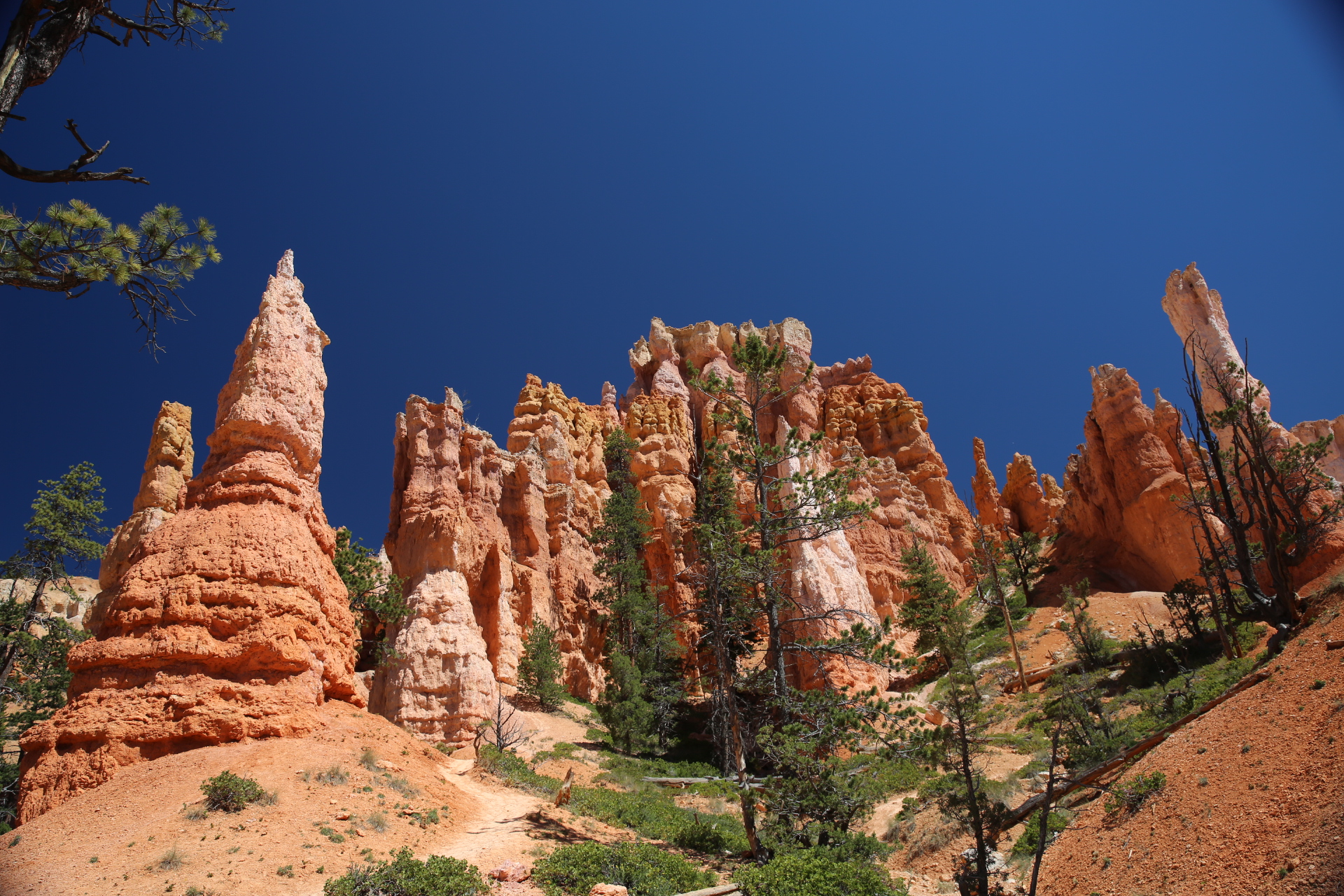 Free download high resolution image - free image free photo free stock image public domain picture -Bryce Canyon National Park at Navajo Loop Trail, Utah