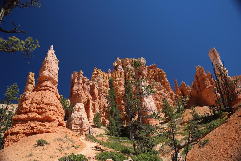 Free download high resolution image - free image free photo free stock image public domain picture  Bryce Canyon National Park at Navajo Loop Trail, Utah