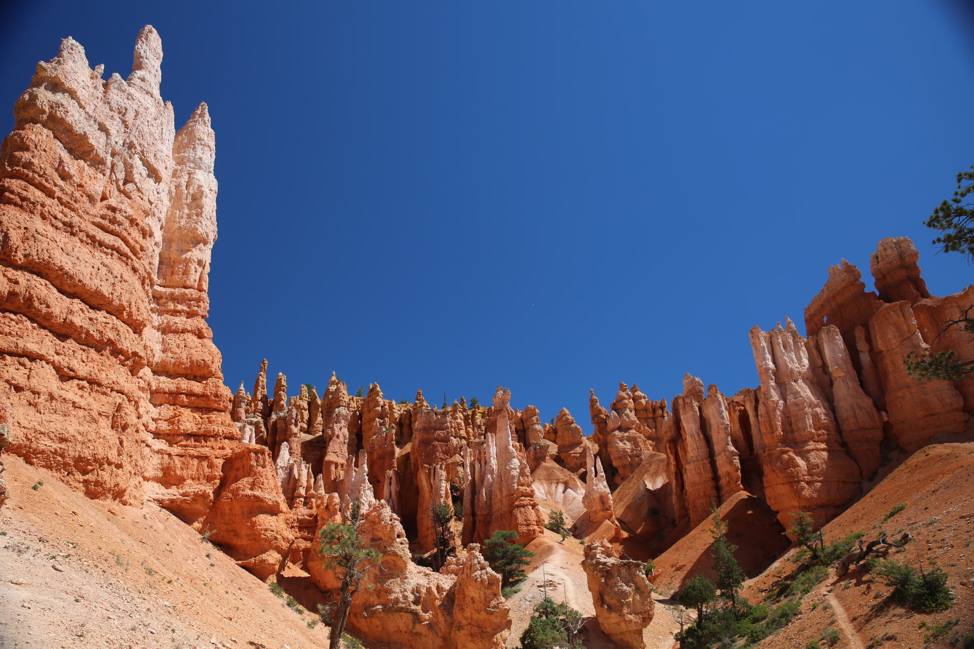 Free download high resolution image - free image free photo free stock image public domain picture -Bryce Canyon National Park at Navajo Loop Trail, Utah