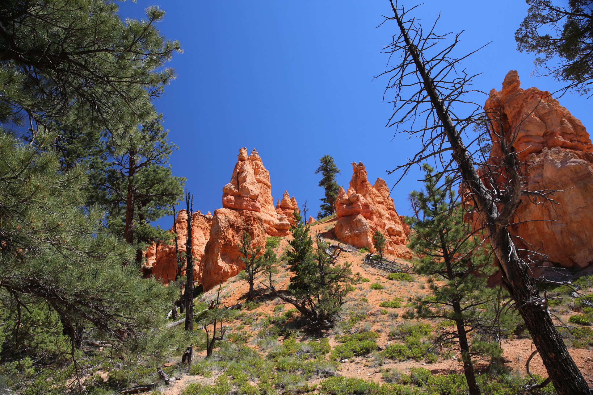 Free download high resolution image - free image free photo free stock image public domain picture -Bryce Canyon National Park at Navajo Loop Trail, Utah