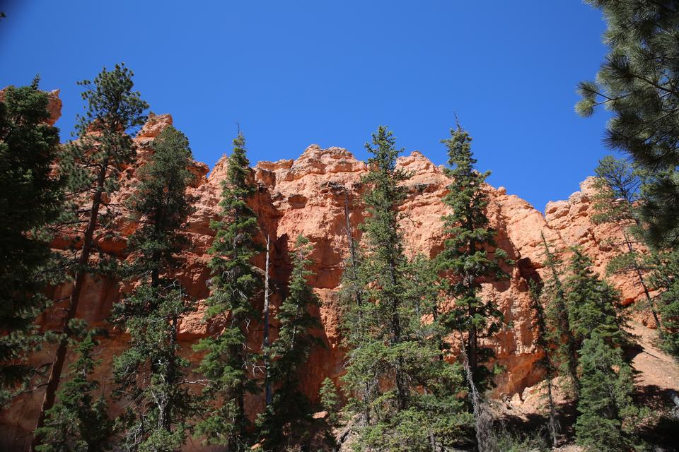 Free download high resolution image - free image free photo free stock image public domain picture  Bryce Canyon National Park at Navajo Loop Trail, Utah