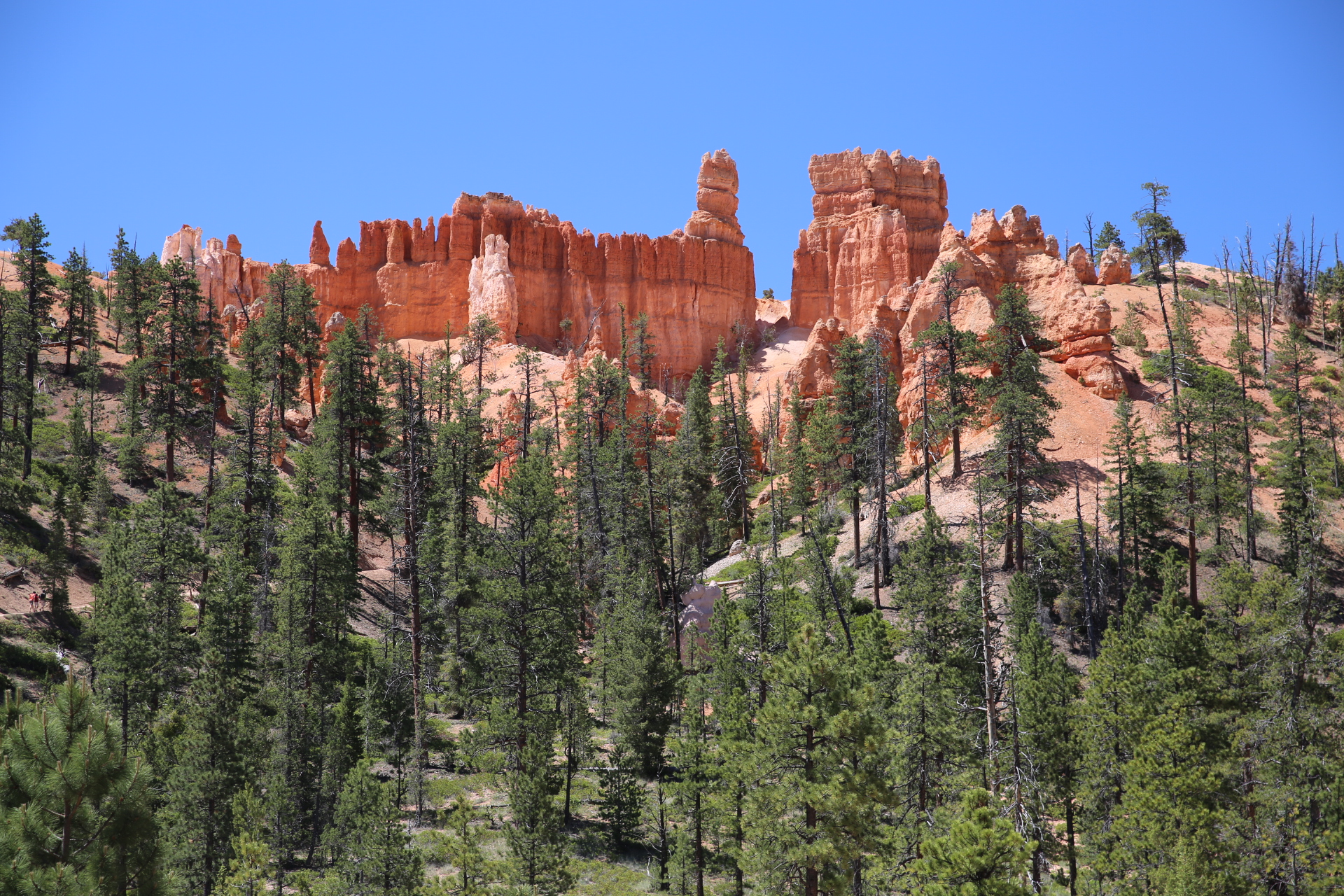 Free download high resolution image - free image free photo free stock image public domain picture -Bryce Canyon National Park at Navajo Loop Trail, Utah