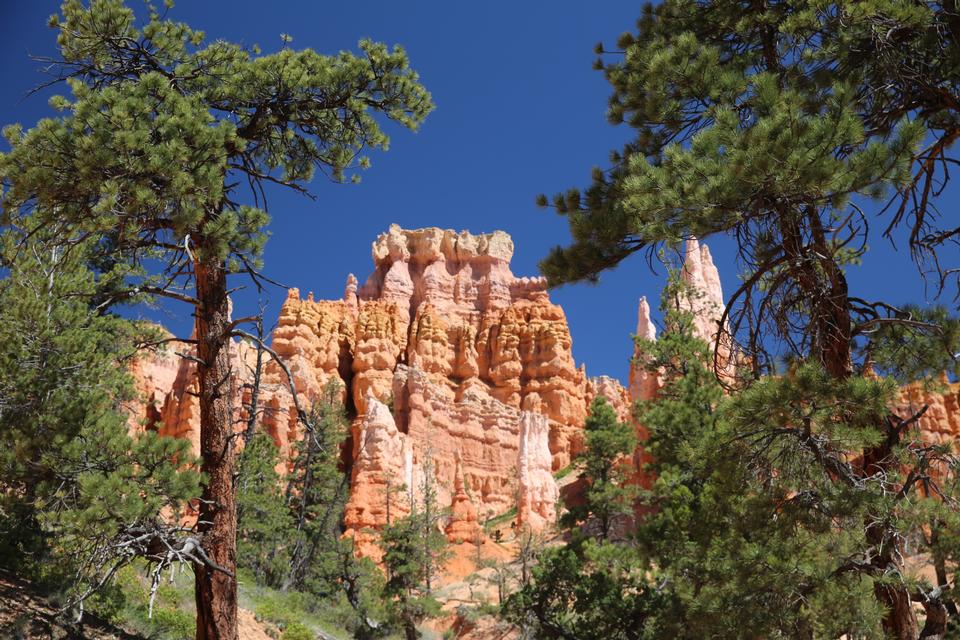 Free download high resolution image - free image free photo free stock image public domain picture  Bryce Canyon National Park at Navajo Loop Trail, Utah