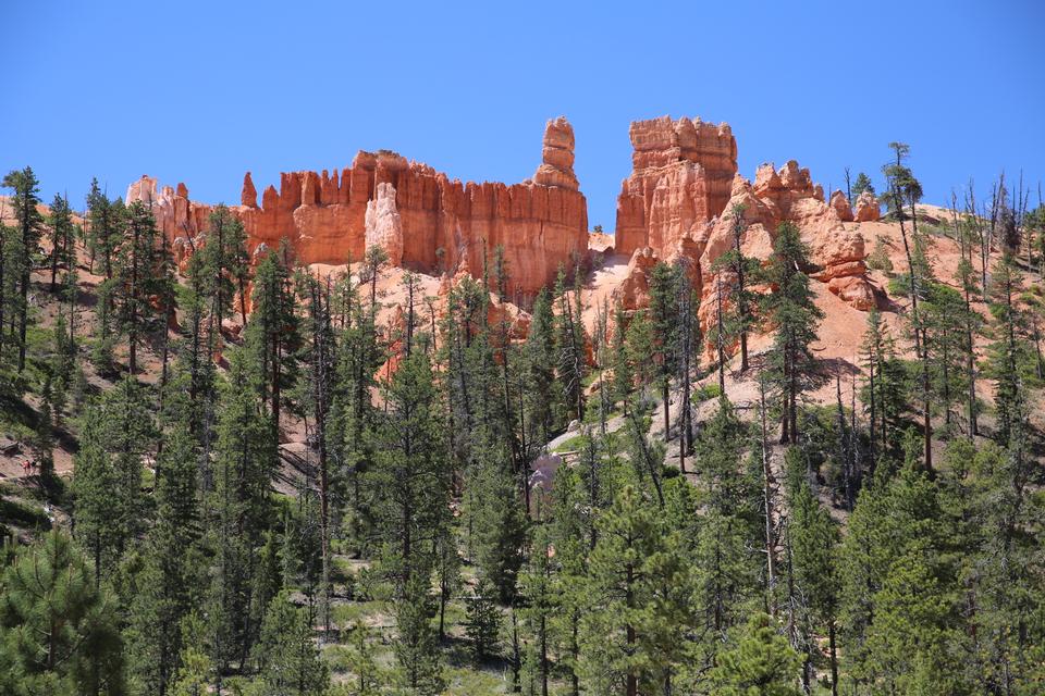 Free download high resolution image - free image free photo free stock image public domain picture  Bryce Canyon National Park at Navajo Loop Trail, Utah