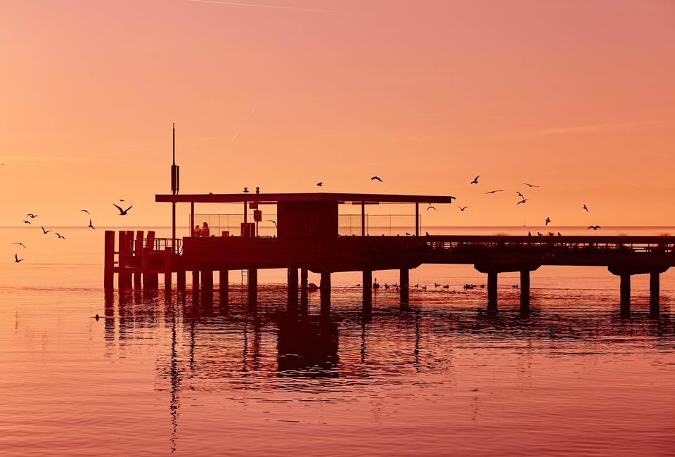 Free download high resolution image - free image free photo free stock image public domain picture  Birds Flying Near the Seashore