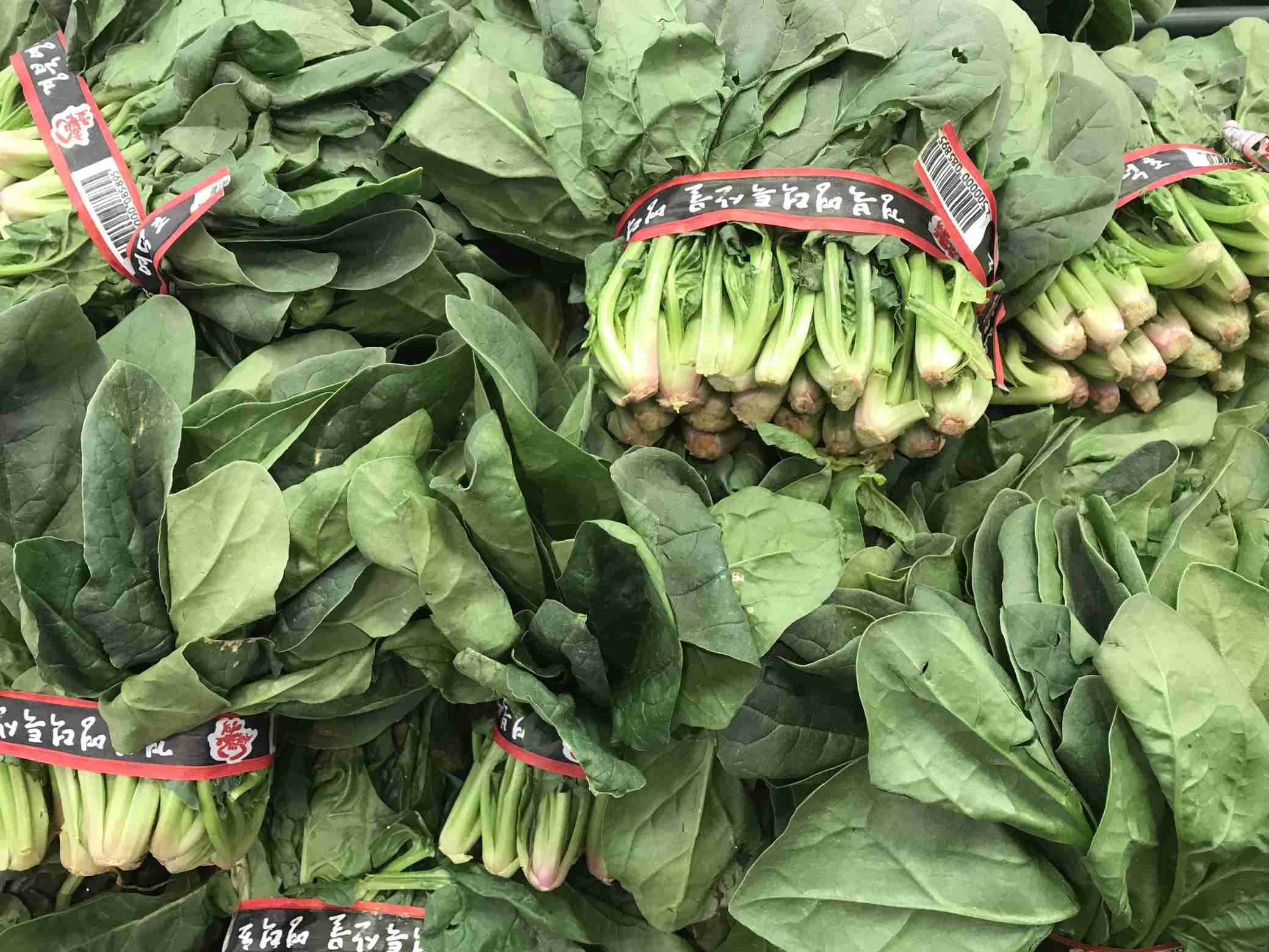 Free download high resolution image - free image free photo free stock image public domain picture -Fresh organic green spinach