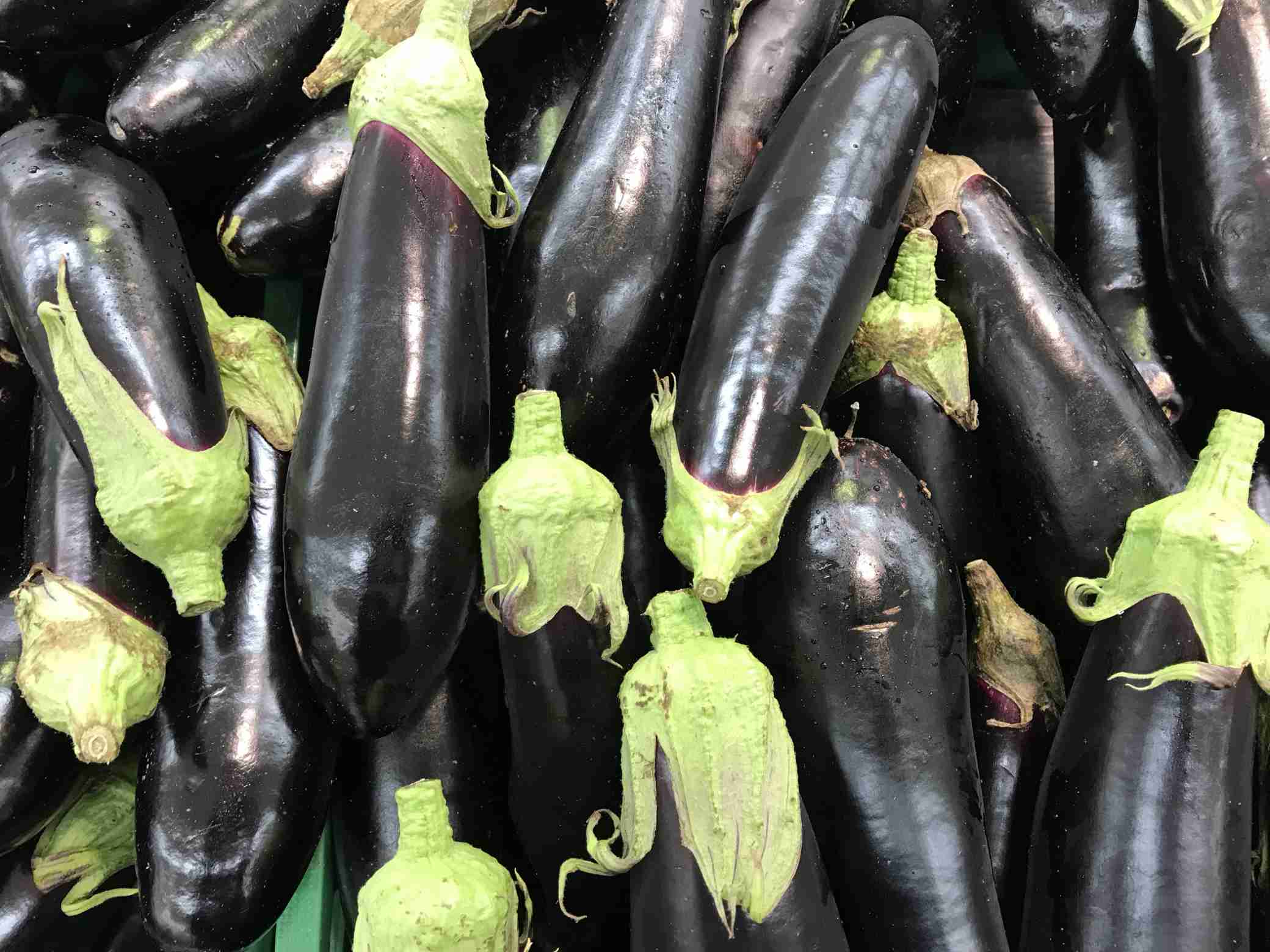 Free download high resolution image - free image free photo free stock image public domain picture -Heap of fresh eggplants close up