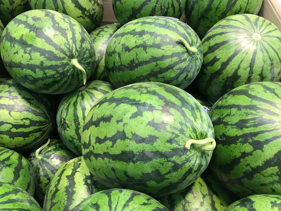 Free download high resolution image - free image free photo free stock image public domain picture  Many big sweet green watermelons