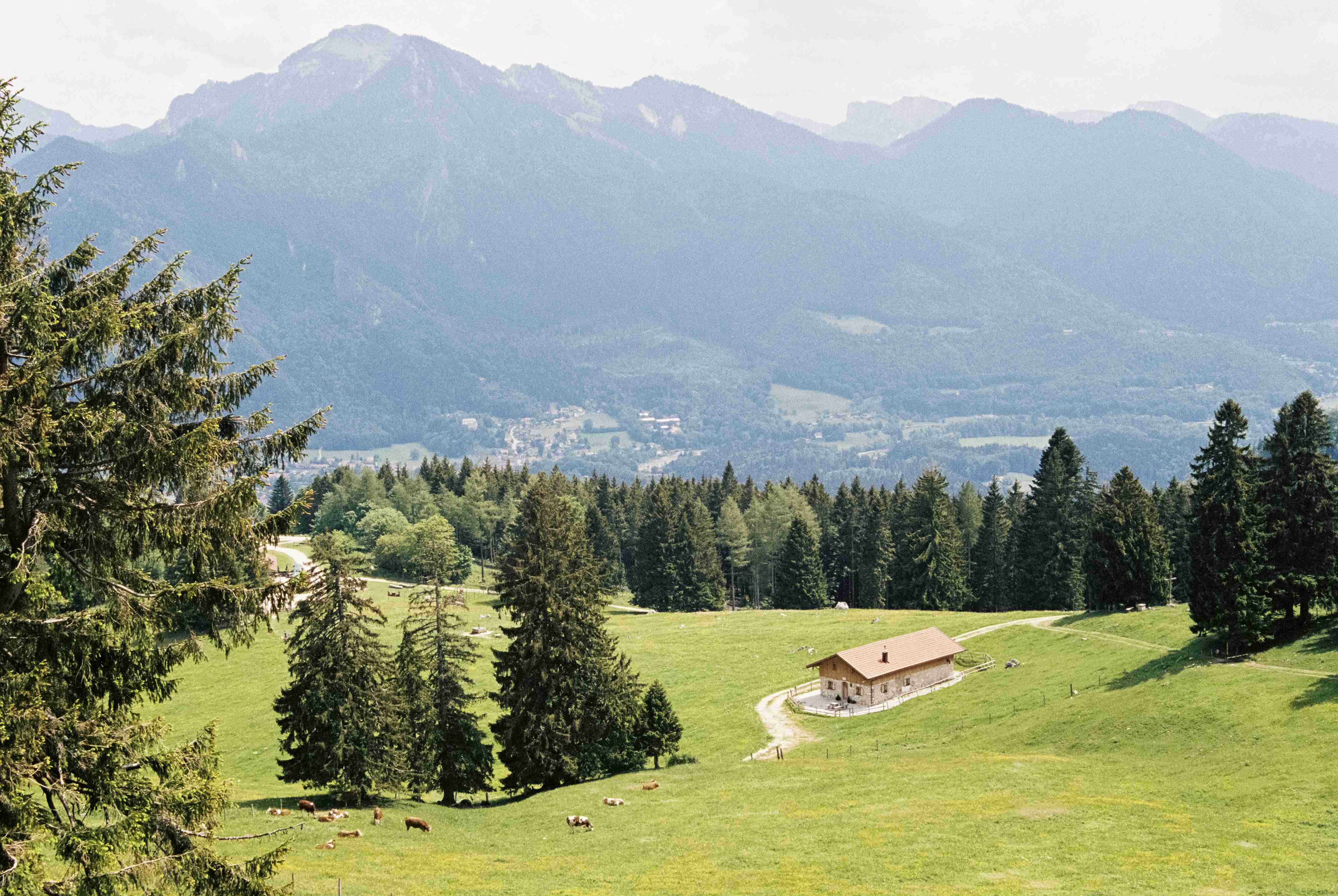 Free download high resolution image - free image free photo free stock image public domain picture -summit cross of mountain Hochgern with green trees