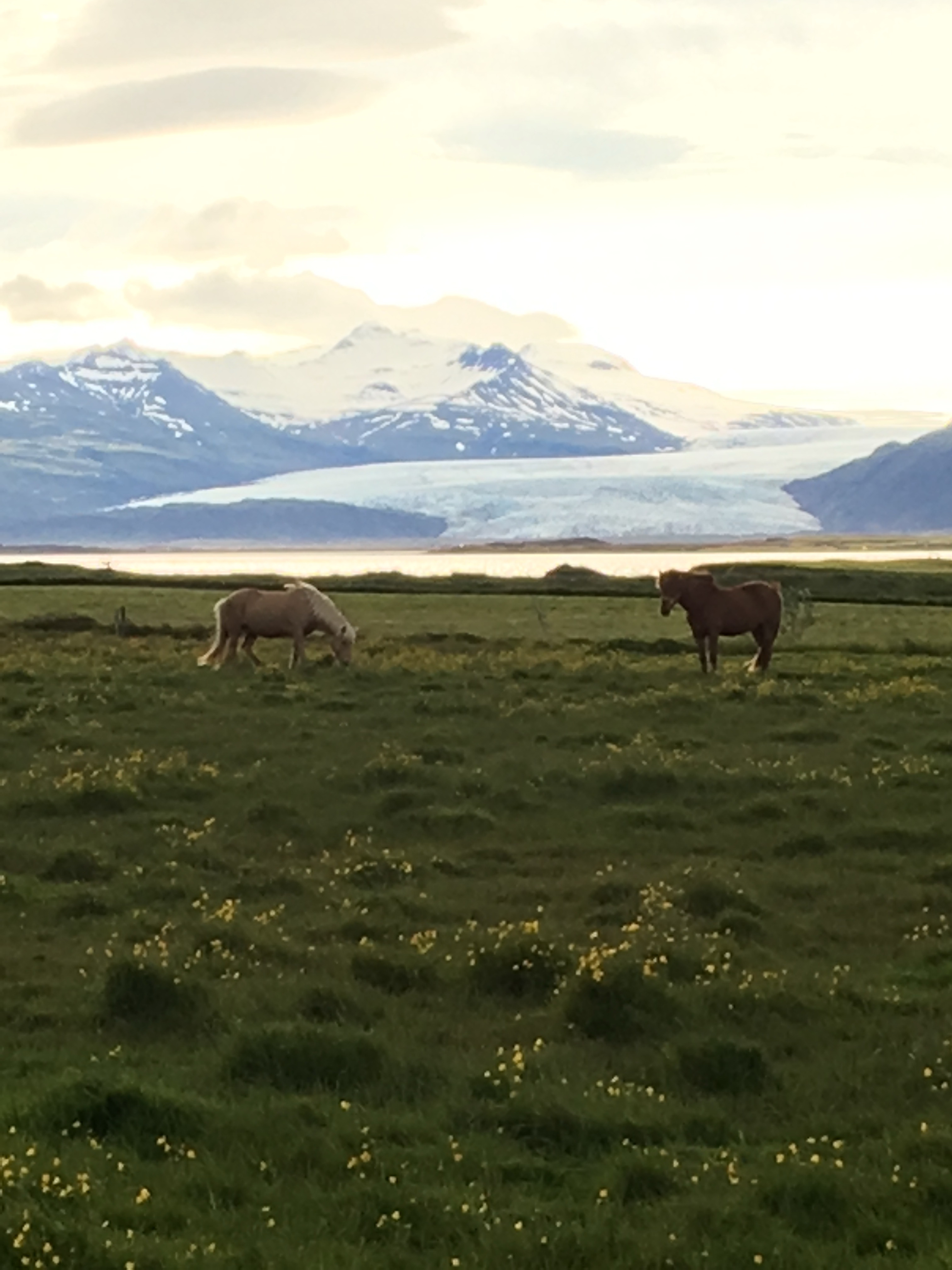 Free download high resolution image - free image free photo free stock image public domain picture -Icelandic Landscape