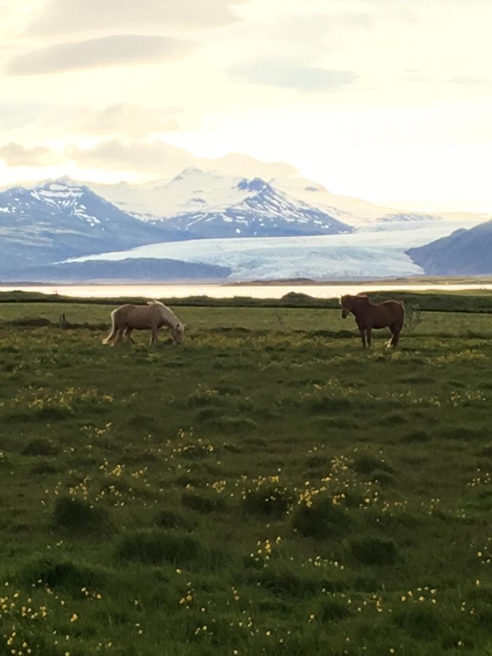 Free download high resolution image - free image free photo free stock image public domain picture  Icelandic Landscape