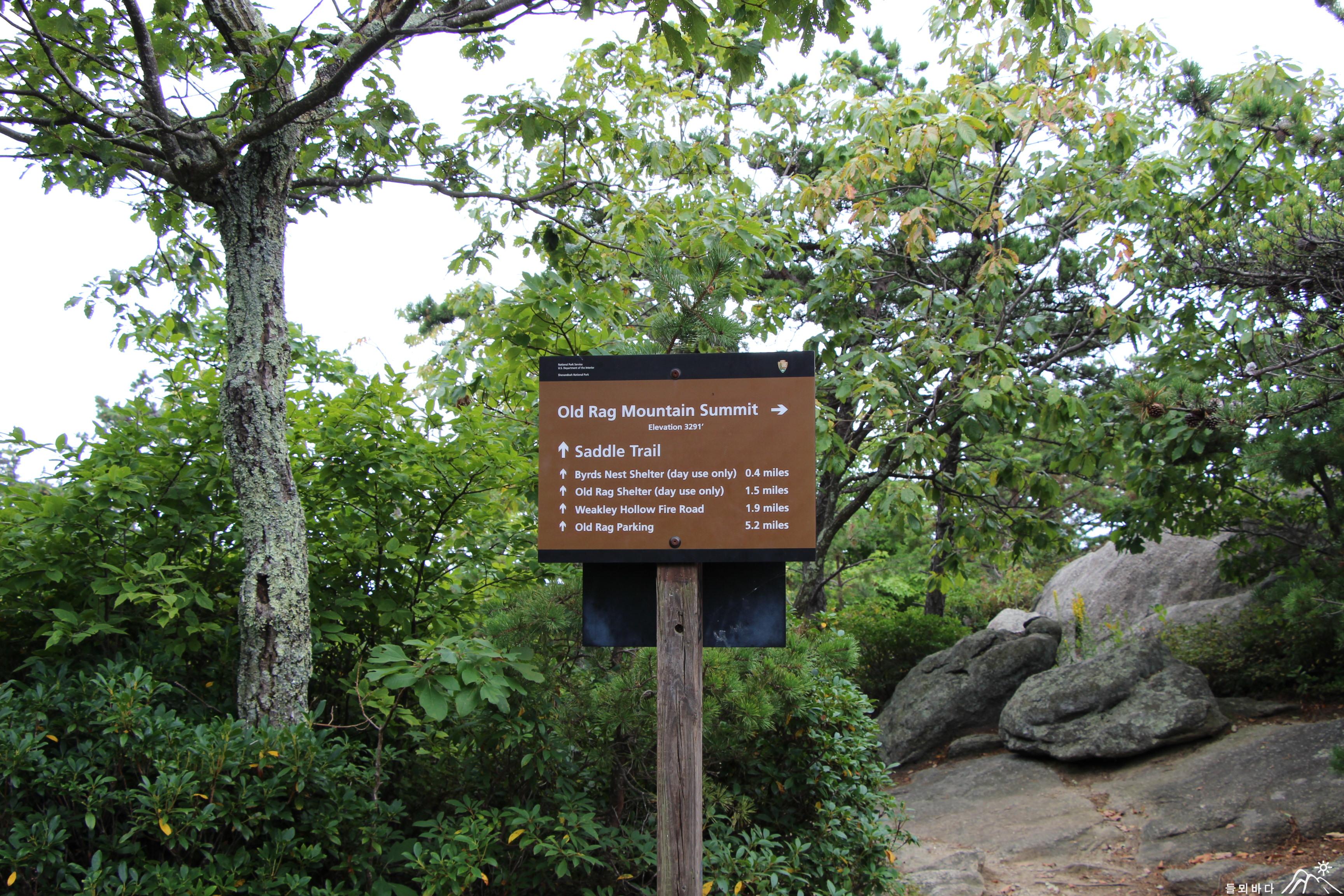 Free download high resolution image - free image free photo free stock image public domain picture -Old Rag Mountain Hike Shenandoah National Park