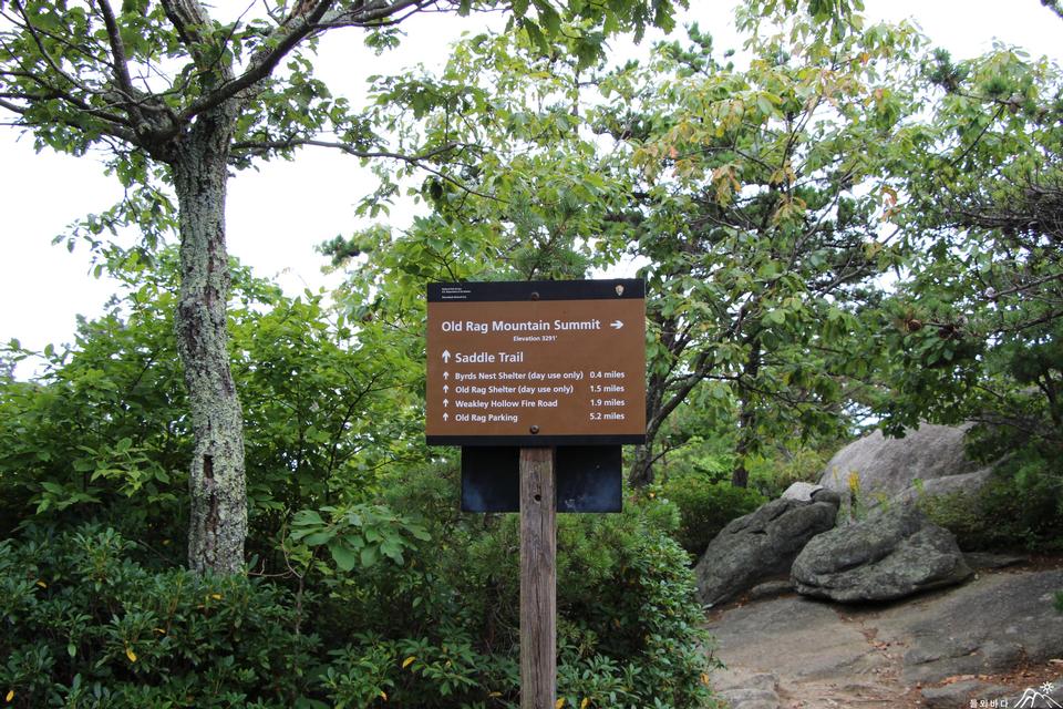 Free download high resolution image - free image free photo free stock image public domain picture  Old Rag Mountain Hike Shenandoah National Park