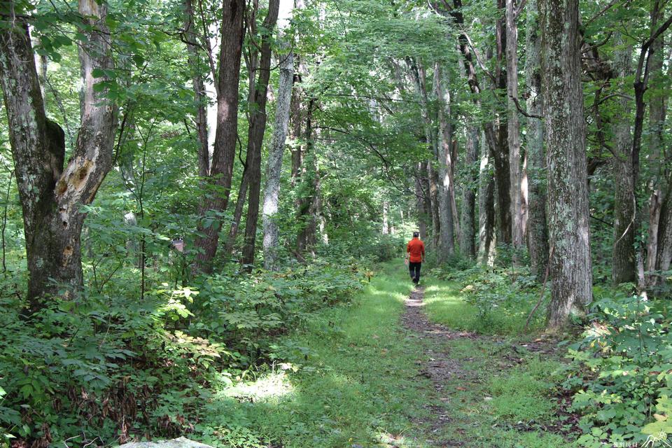 Free download high resolution image - free image free photo free stock image public domain picture  Piney Ridge Trail and Appalachian Trail Loop