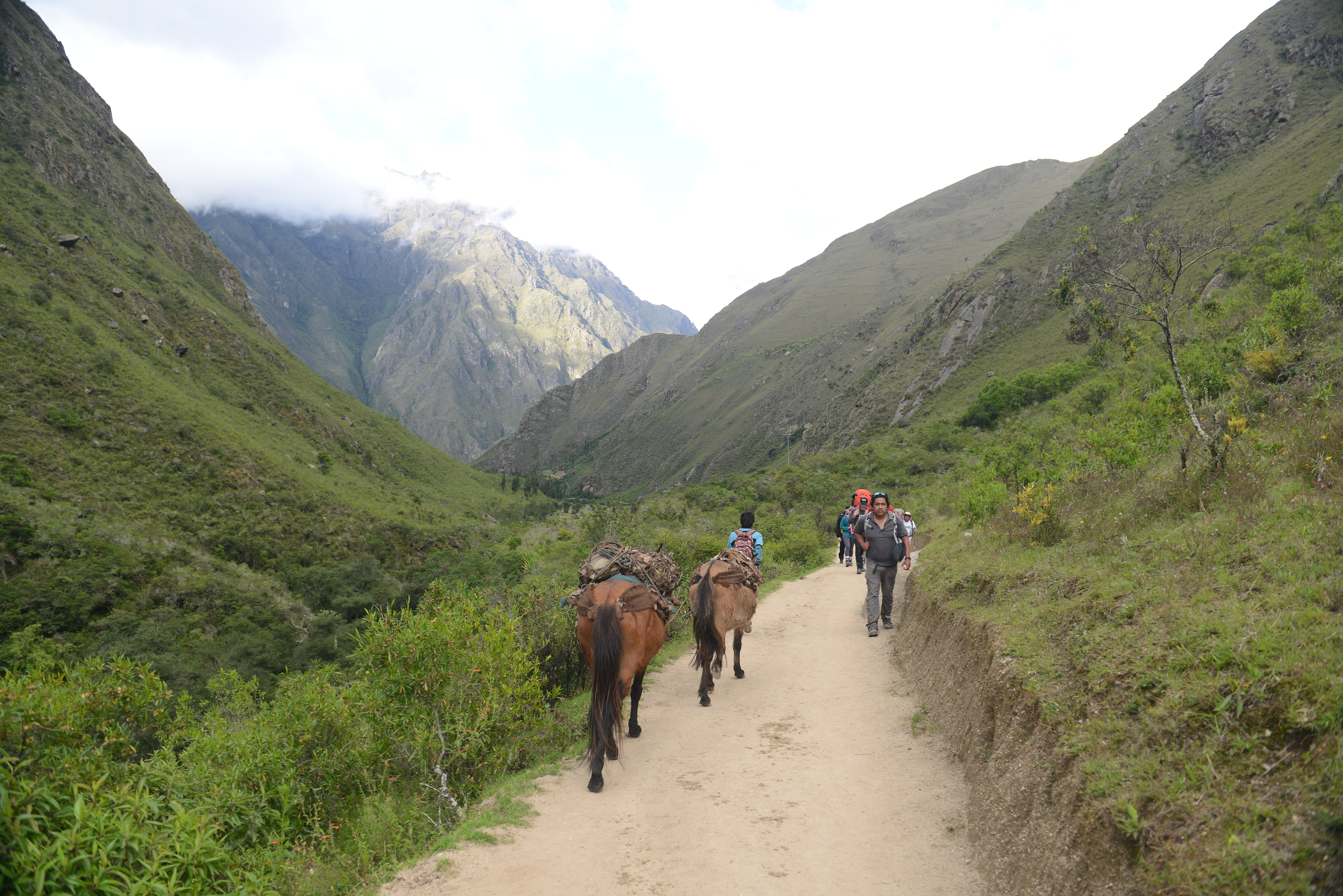 Free download high resolution image - free image free photo free stock image public domain picture -People and horses carrying goods along the Inca Trail