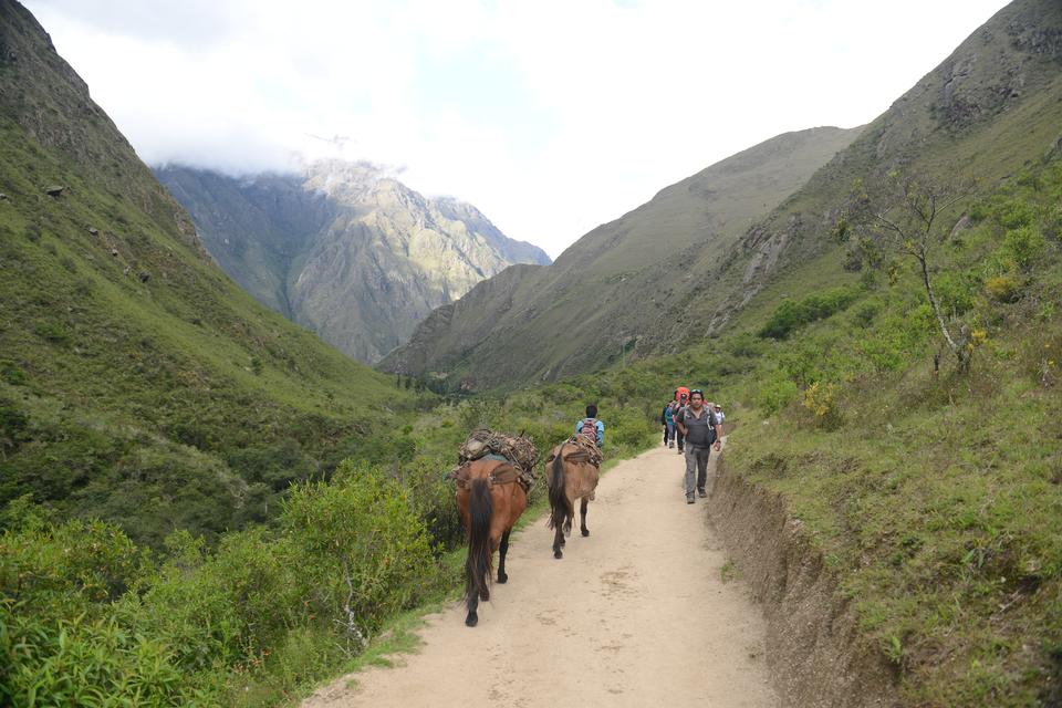 Free download high resolution image - free image free photo free stock image public domain picture  People and horses carrying goods along the Inca Trail