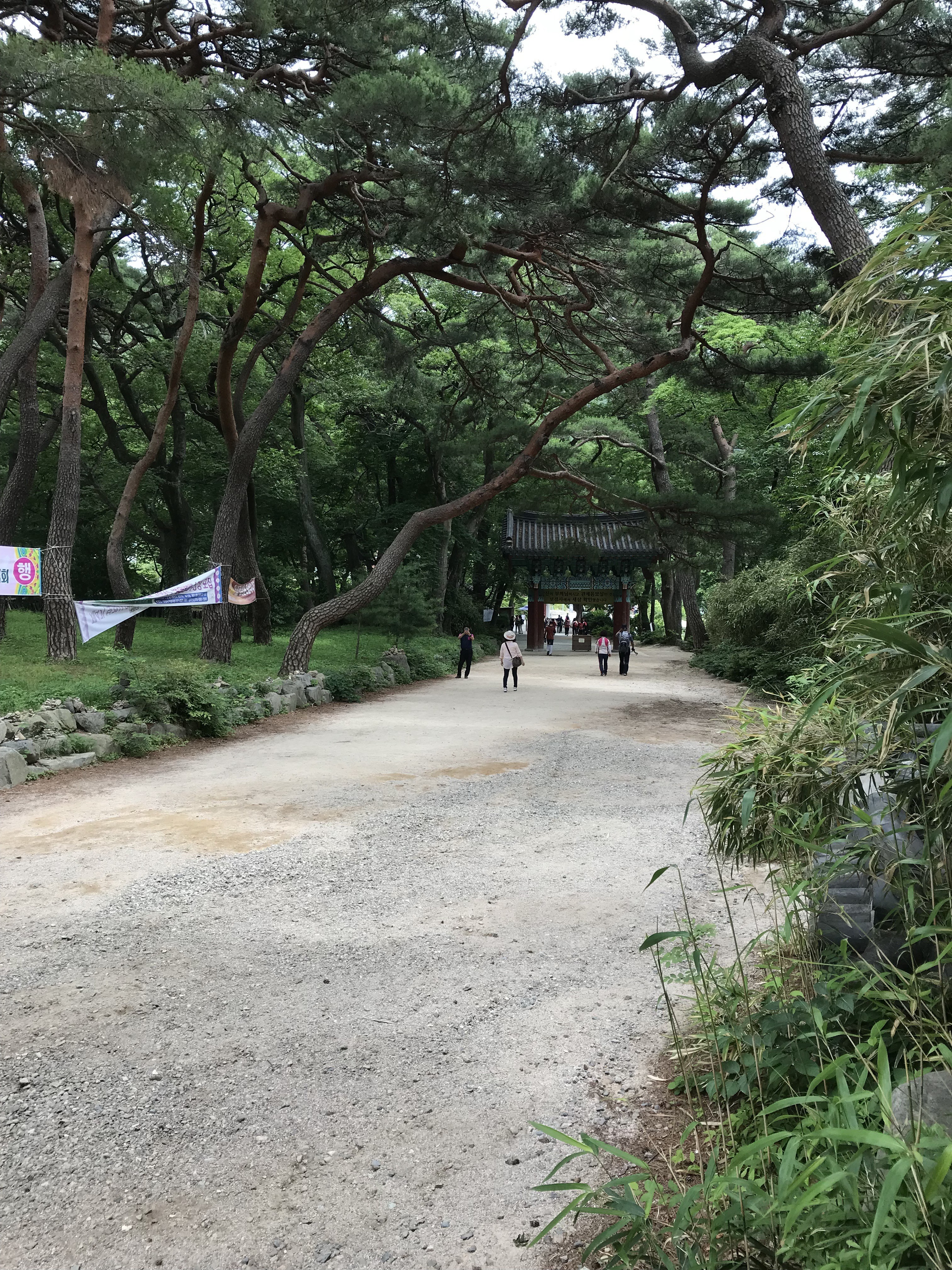 Free download high resolution image - free image free photo free stock image public domain picture -Bokyung Temple National Park