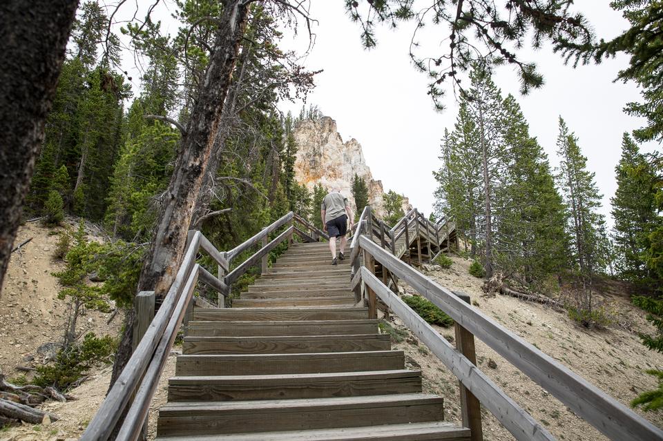 Free download high resolution image - free image free photo free stock image public domain picture  South Rim of the Grand Canyon of the Yellowstone