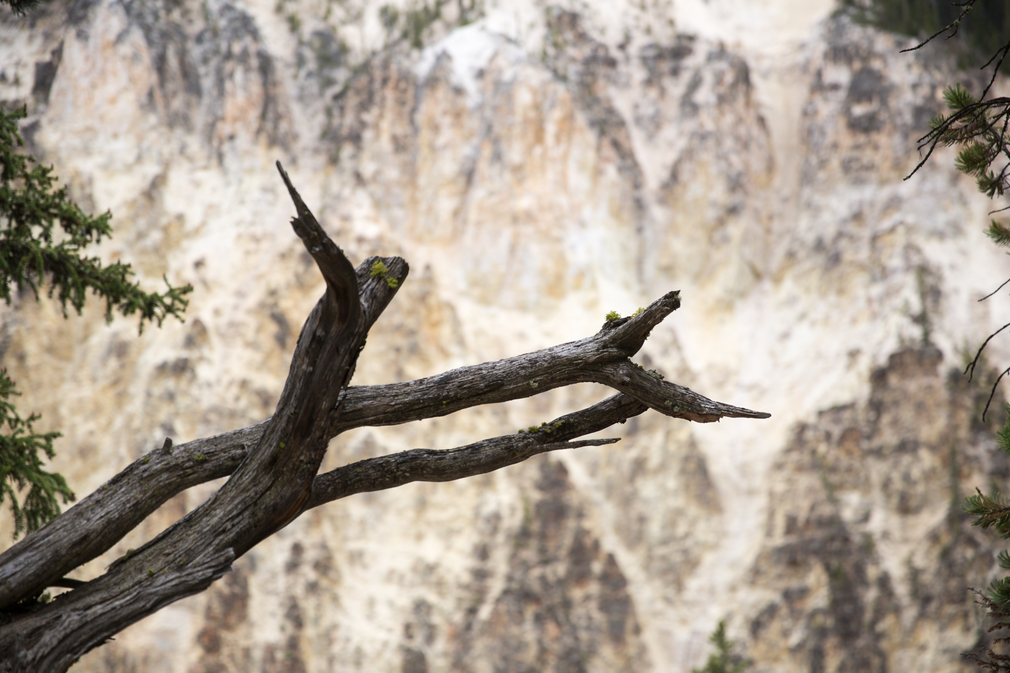 Free download high resolution image - free image free photo free stock image public domain picture -South Rim of the Grand Canyon of the Yellowstone