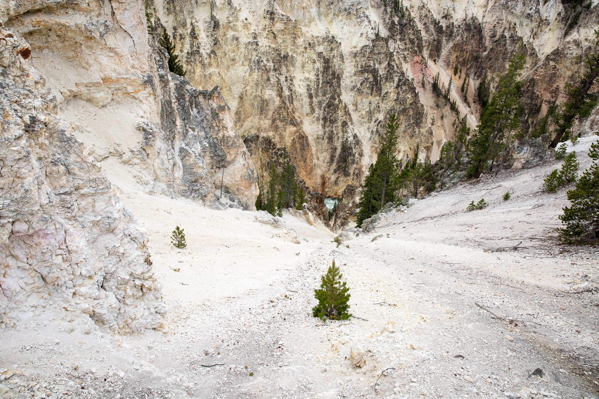 Free download high resolution image - free image free photo free stock image public domain picture -Hiking trail toward Sky Rim, Yellowstone National Park