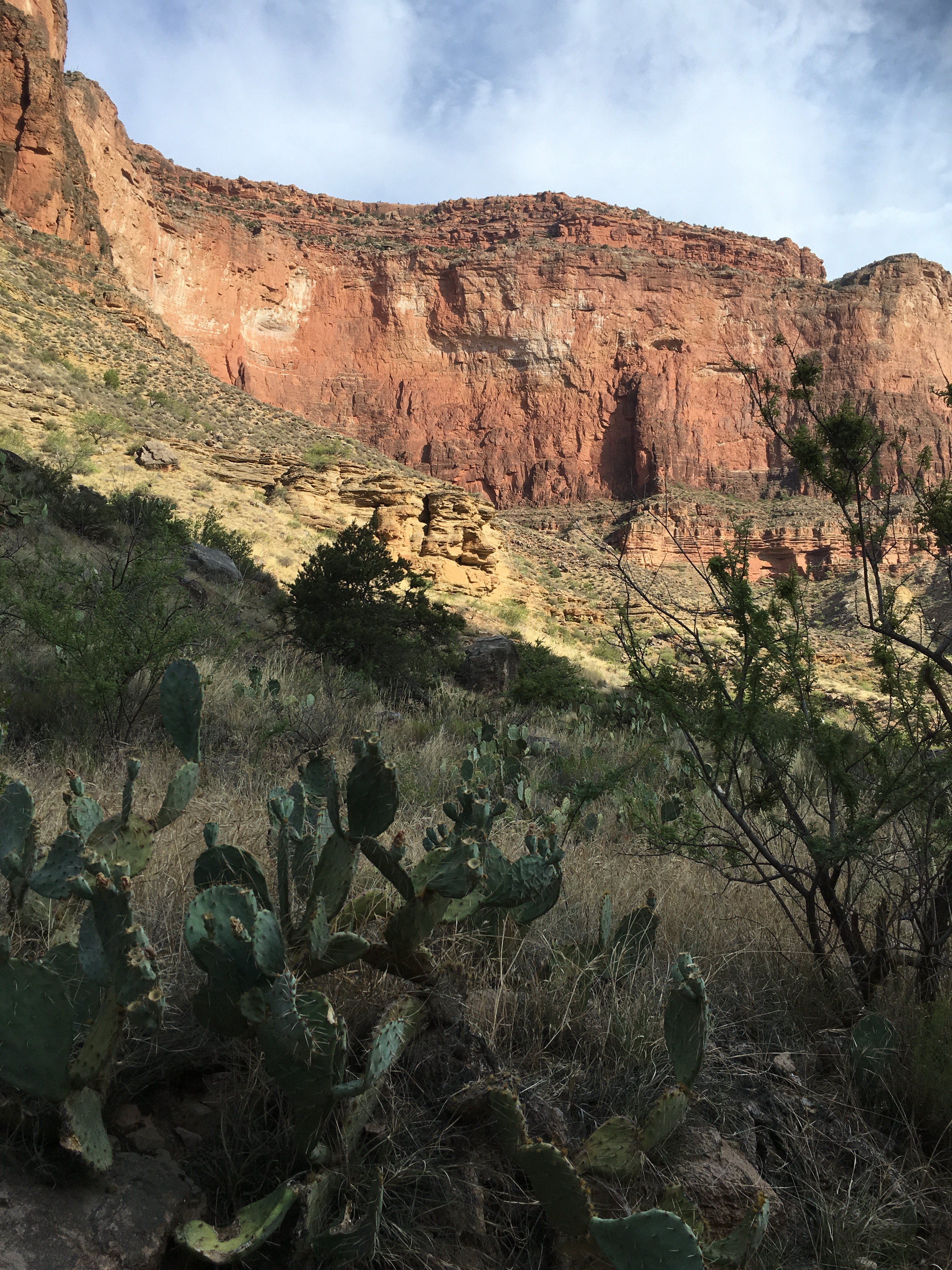 Free download high resolution image - free image free photo free stock image public domain picture -Grand Canyon south rim - Kaibab Trail