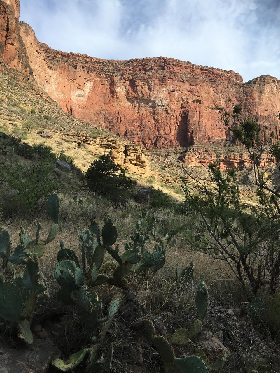 Free download high resolution image - free image free photo free stock image public domain picture  Grand Canyon south rim - Kaibab Trail