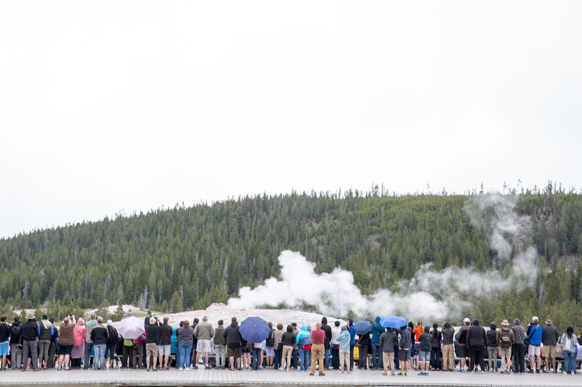 Free download high resolution image - free image free photo free stock image public domain picture -Old Faithful, Yellowstone Nationalpark, Wyoming