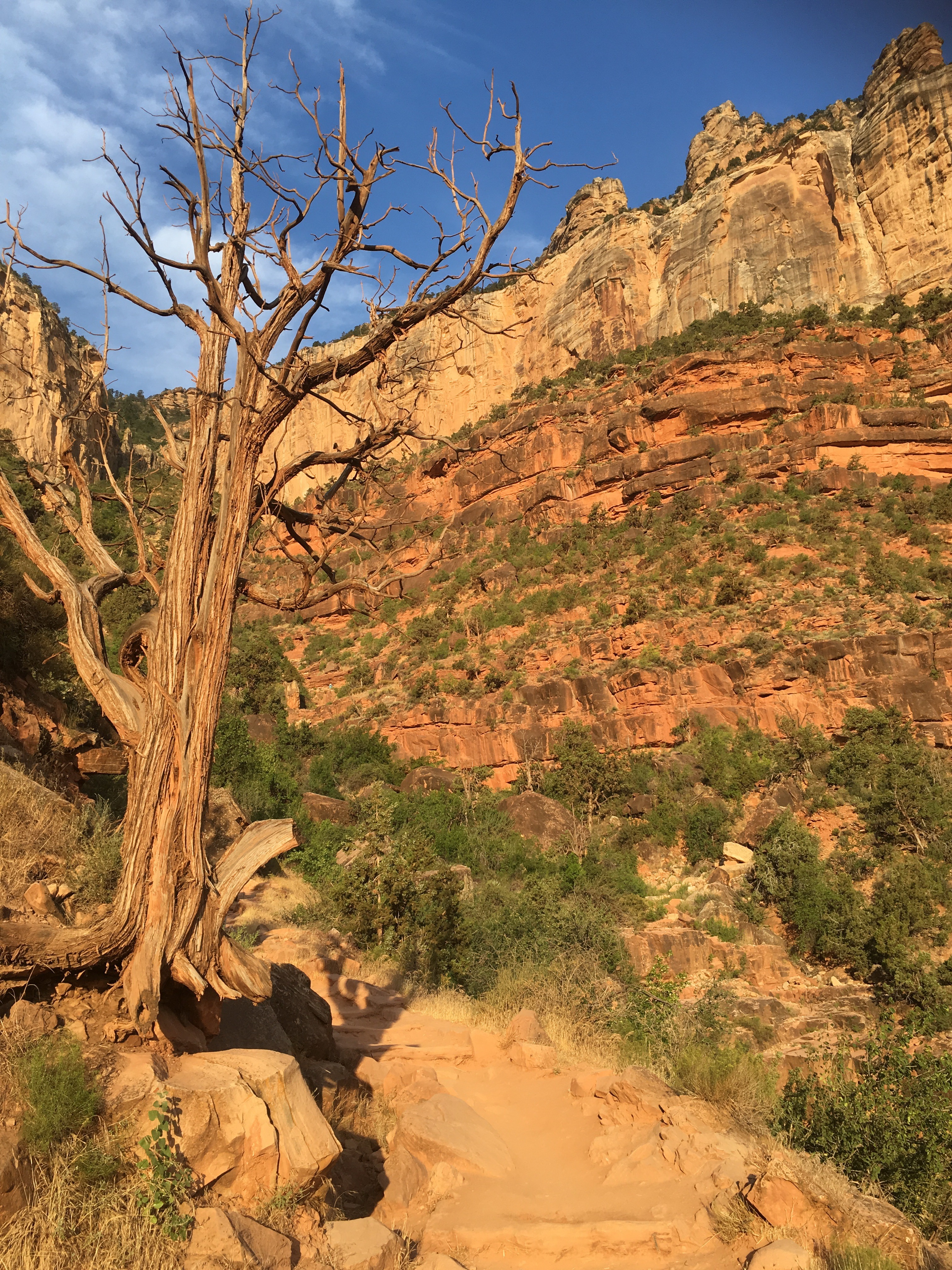 Free download high resolution image - free image free photo free stock image public domain picture -Grand Canyon south rim - Kaibab Trail