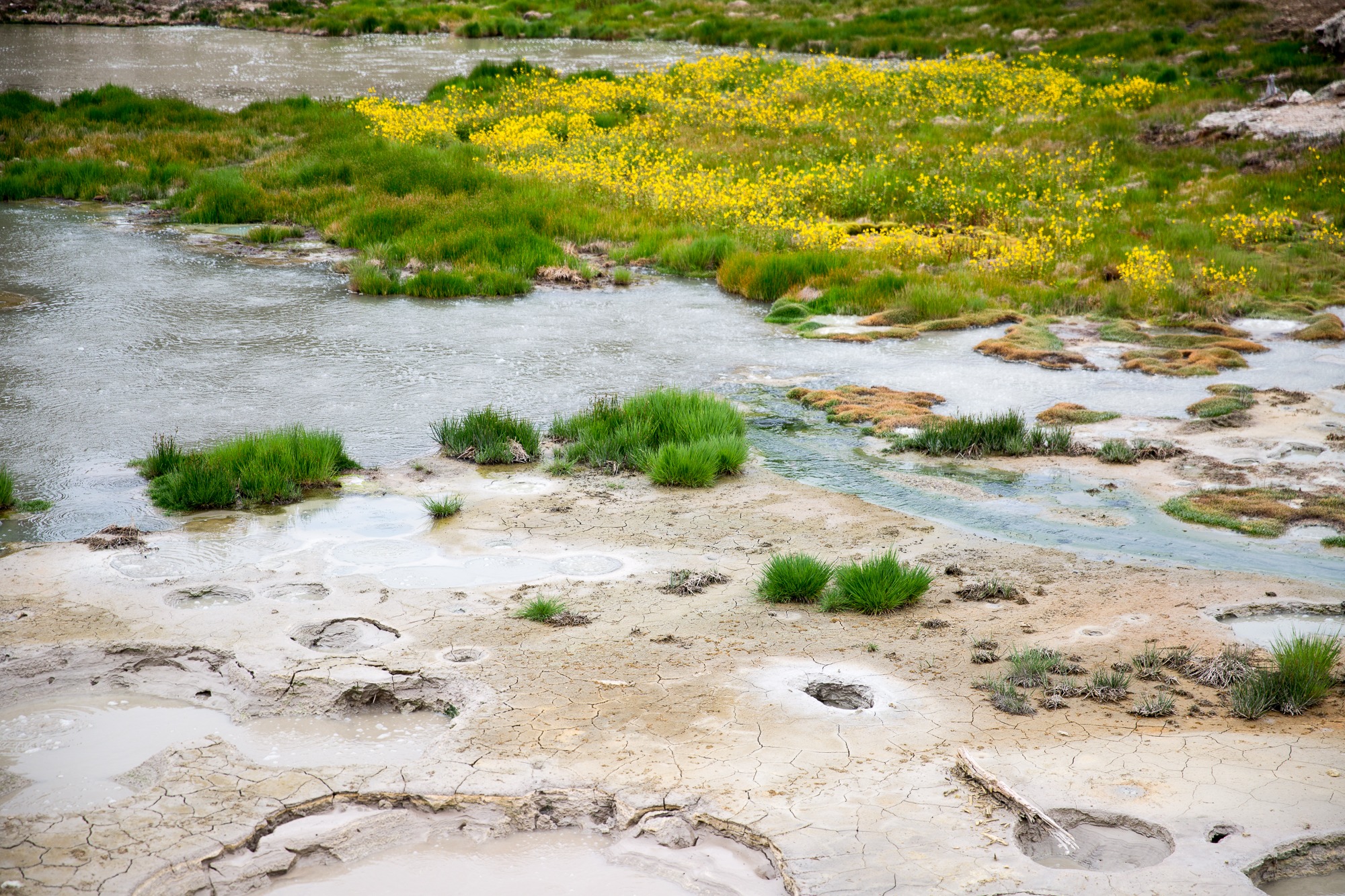 Free download high resolution image - free image free photo free stock image public domain picture -Hiking trail toward Sky Rim, Yellowstone National Park