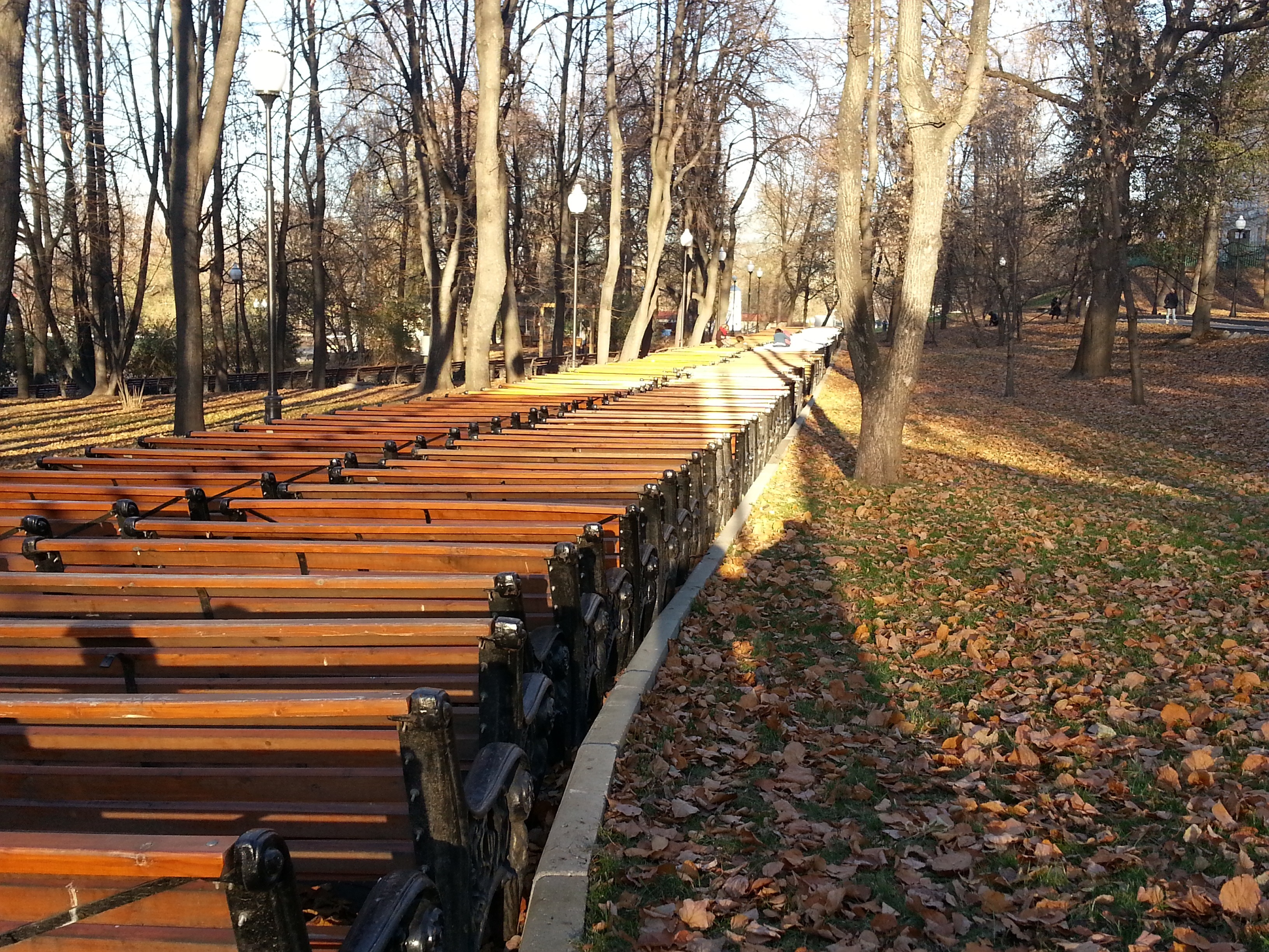 Free download high resolution image - free image free photo free stock image public domain picture -park with benches