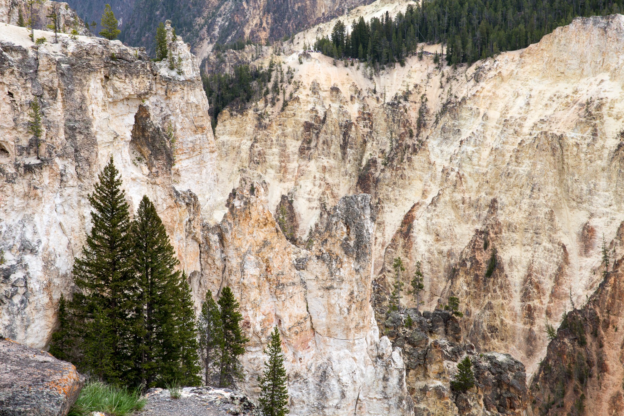 Free download high resolution image - free image free photo free stock image public domain picture -South Rim of the Grand Canyon of the Yellowstone