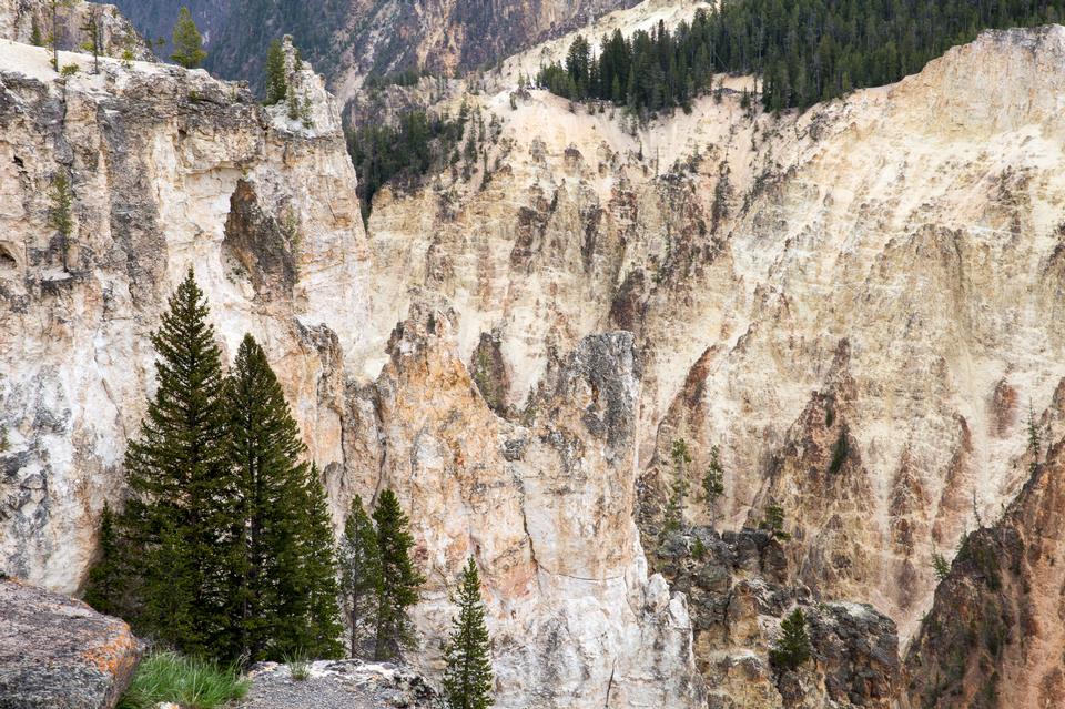 Free download high resolution image - free image free photo free stock image public domain picture  South Rim of the Grand Canyon of the Yellowstone