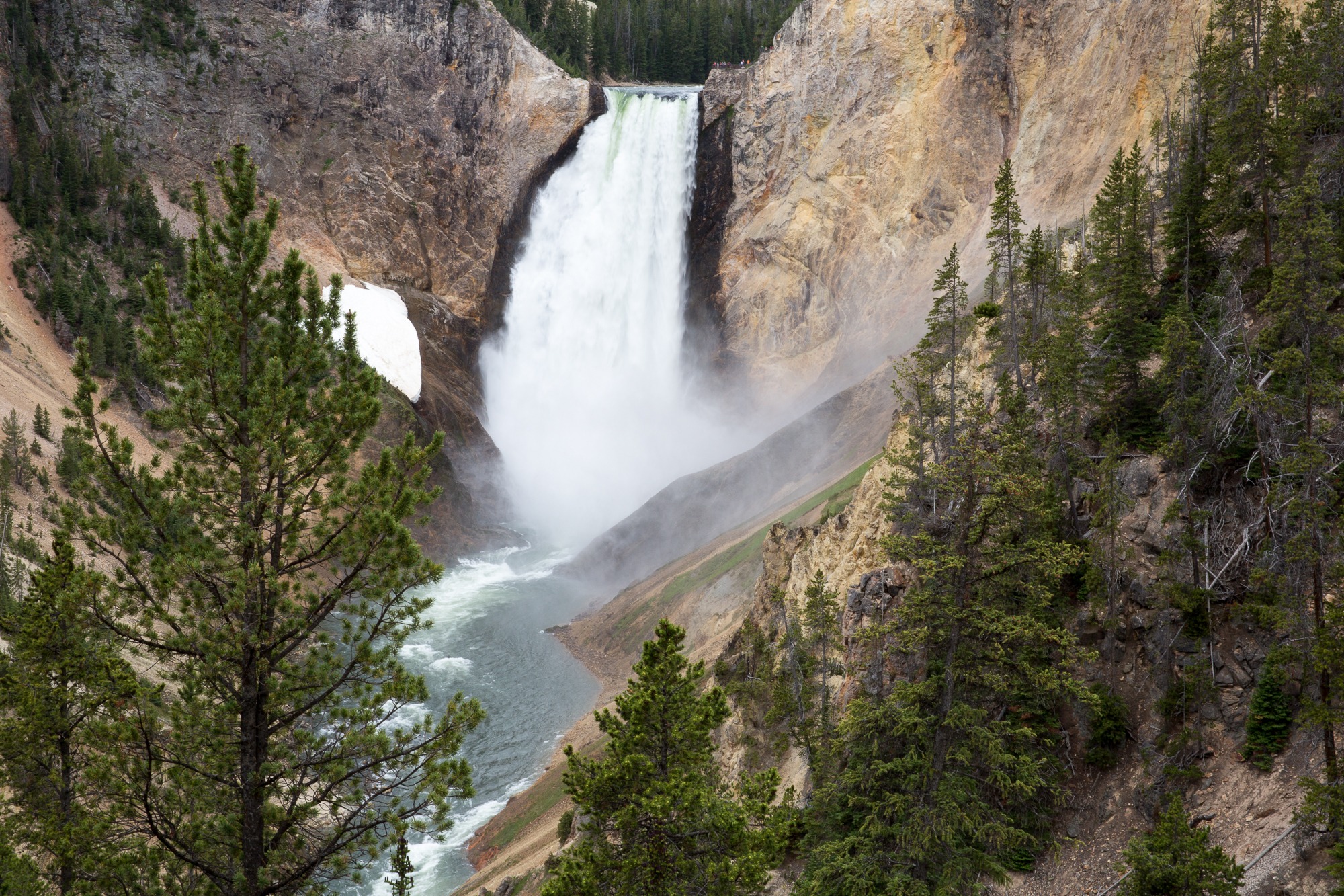 Free download high resolution image - free image free photo free stock image public domain picture -South Rim of the Grand Canyon of the Yellowstone