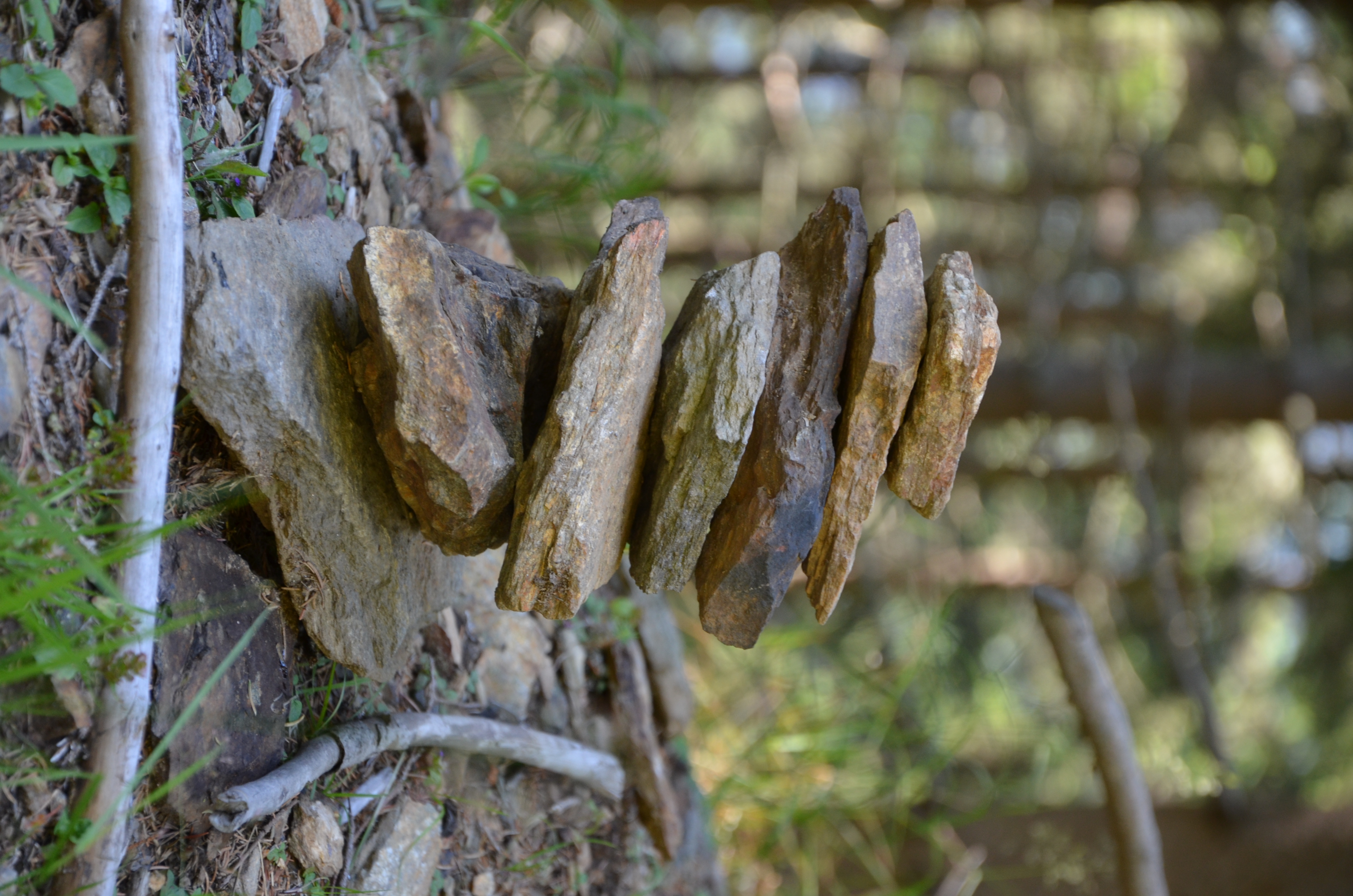 Free download high resolution image - free image free photo free stock image public domain picture -stones, zen, nature, forest