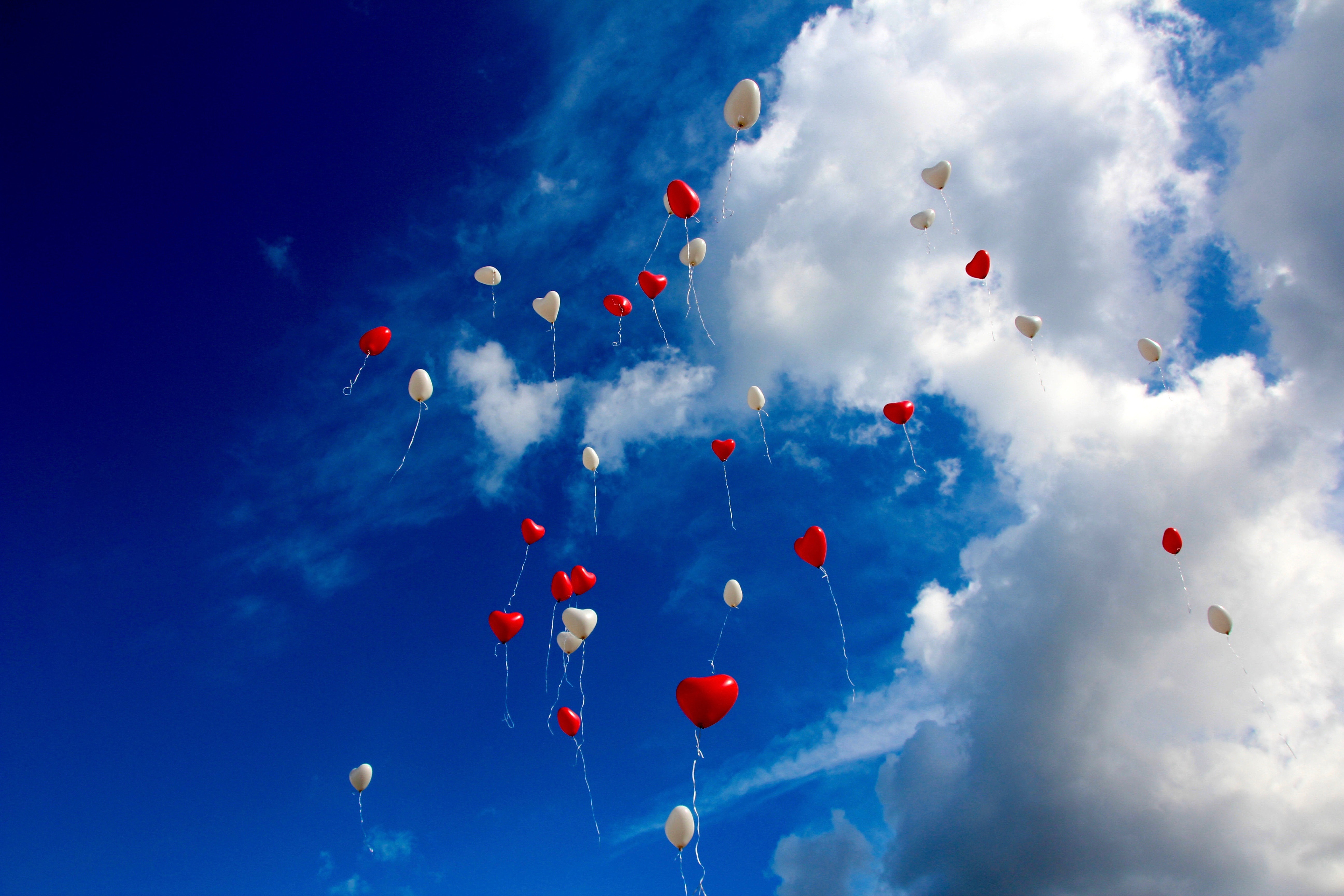 Free download high resolution image - free image free photo free stock image public domain picture -red balloons