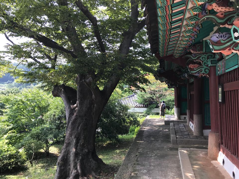 Free download high resolution image - free image free photo free stock image public domain picture  Chongryongsa  in Tongyeong South Korea