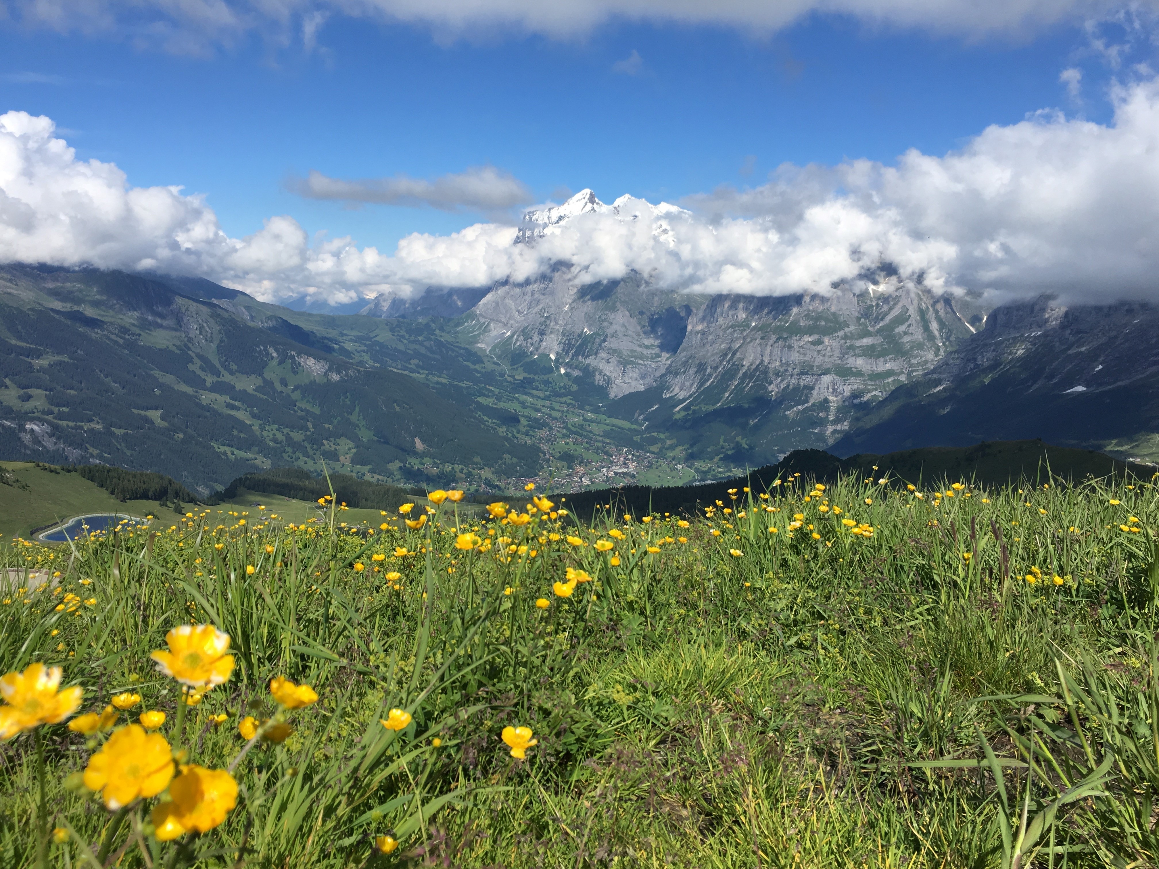 Free download high resolution image - free image free photo free stock image public domain picture -View of the Mont Blanc massif and Chamonix