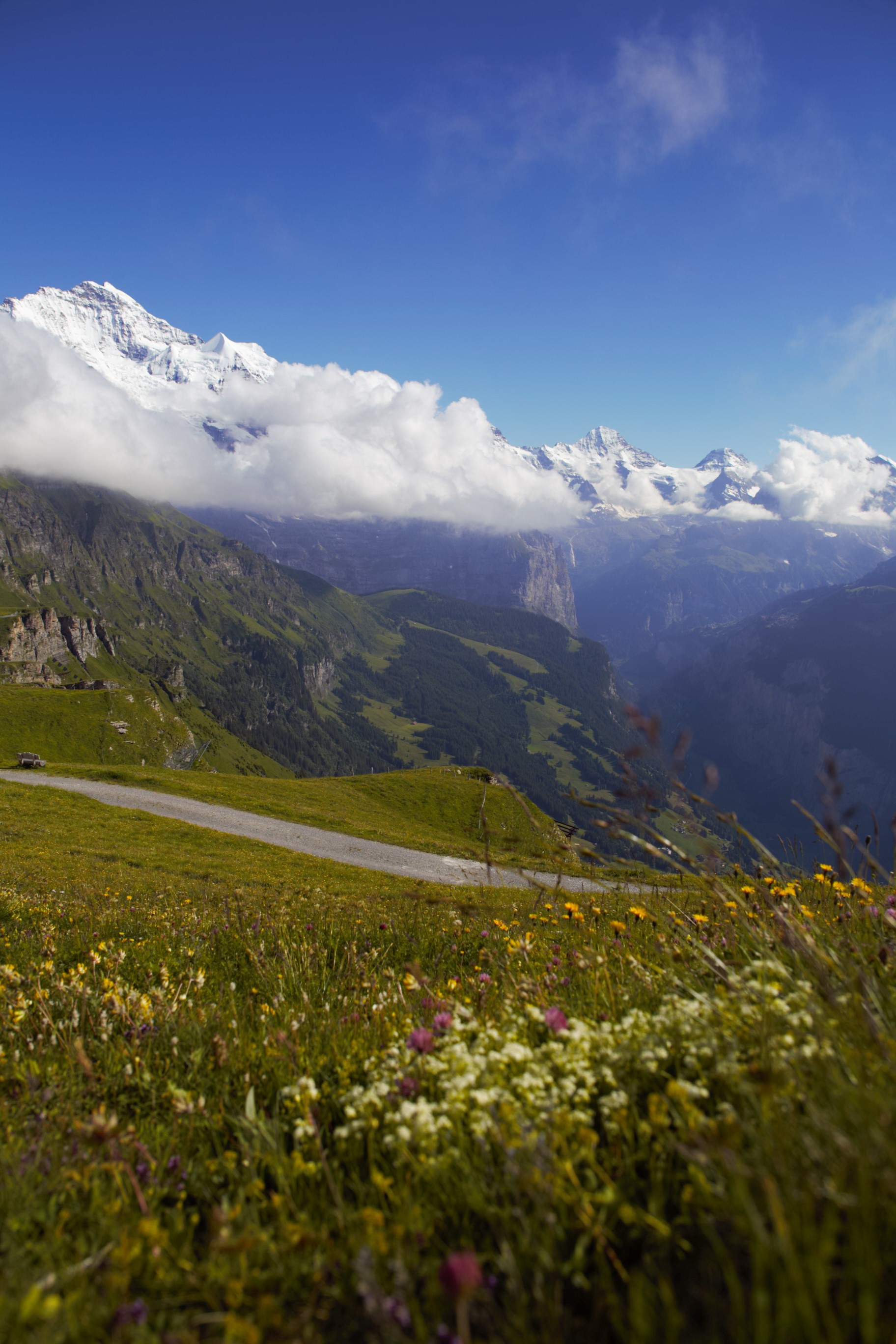 Free download high resolution image - free image free photo free stock image public domain picture -MontBlanc from the Aiguilles Rouges, Chamonix