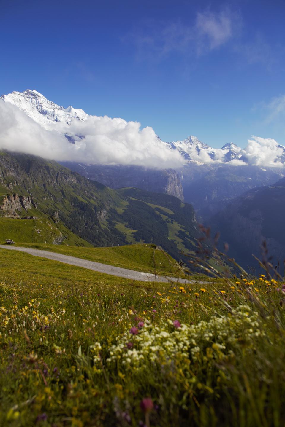 Free download high resolution image - free image free photo free stock image public domain picture  MontBlanc from the Aiguilles Rouges, Chamonix