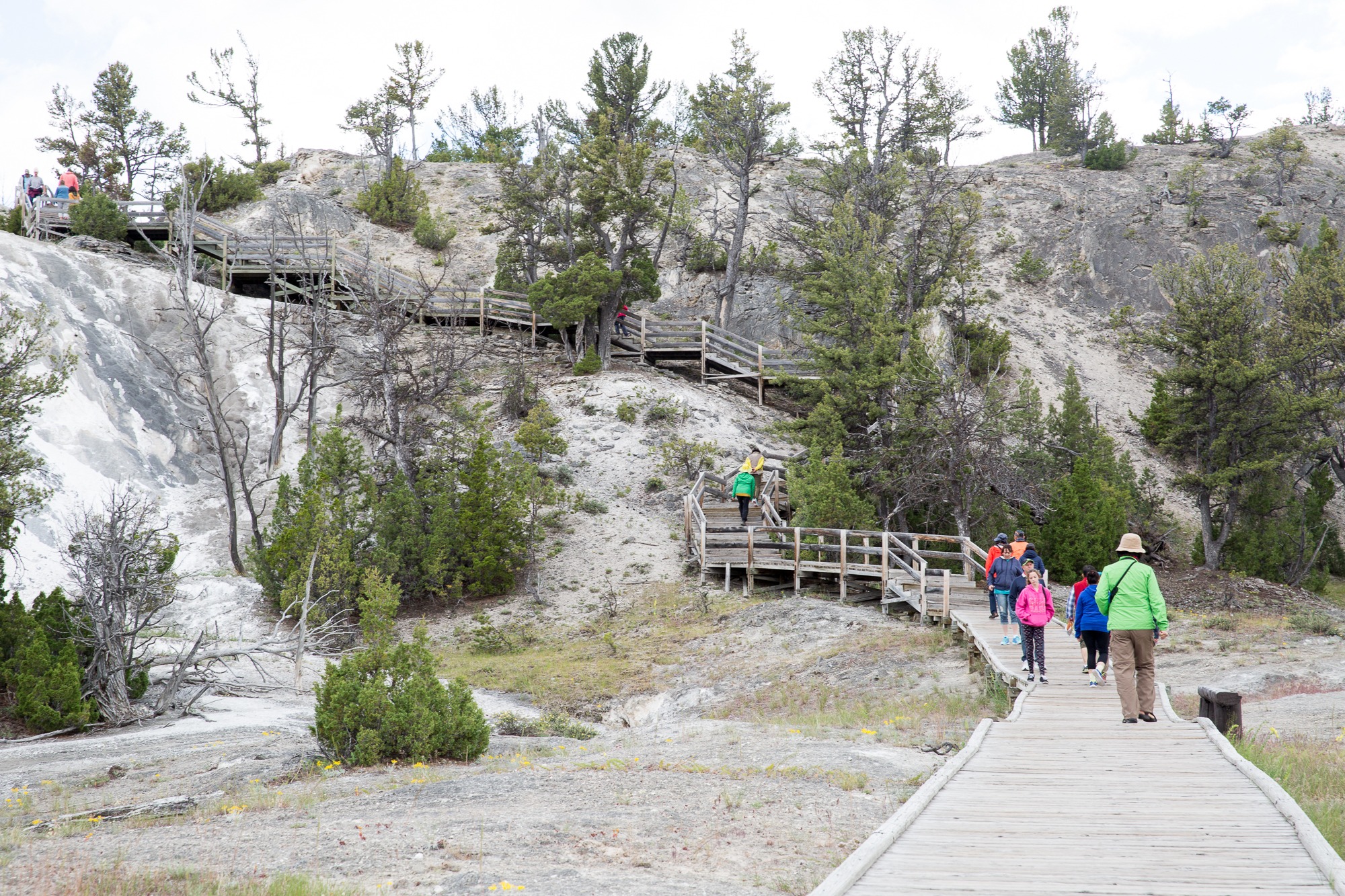 Free download high resolution image - free image free photo free stock image public domain picture -Hiking trail toward Sky Rim, Yellowstone National Park