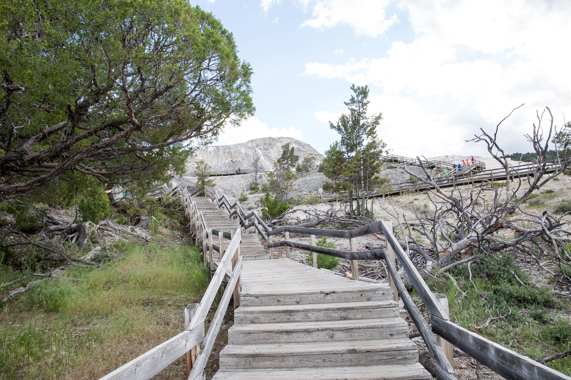 Free download high resolution image - free image free photo free stock image public domain picture -Hiking trail toward Sky Rim, Yellowstone National Park