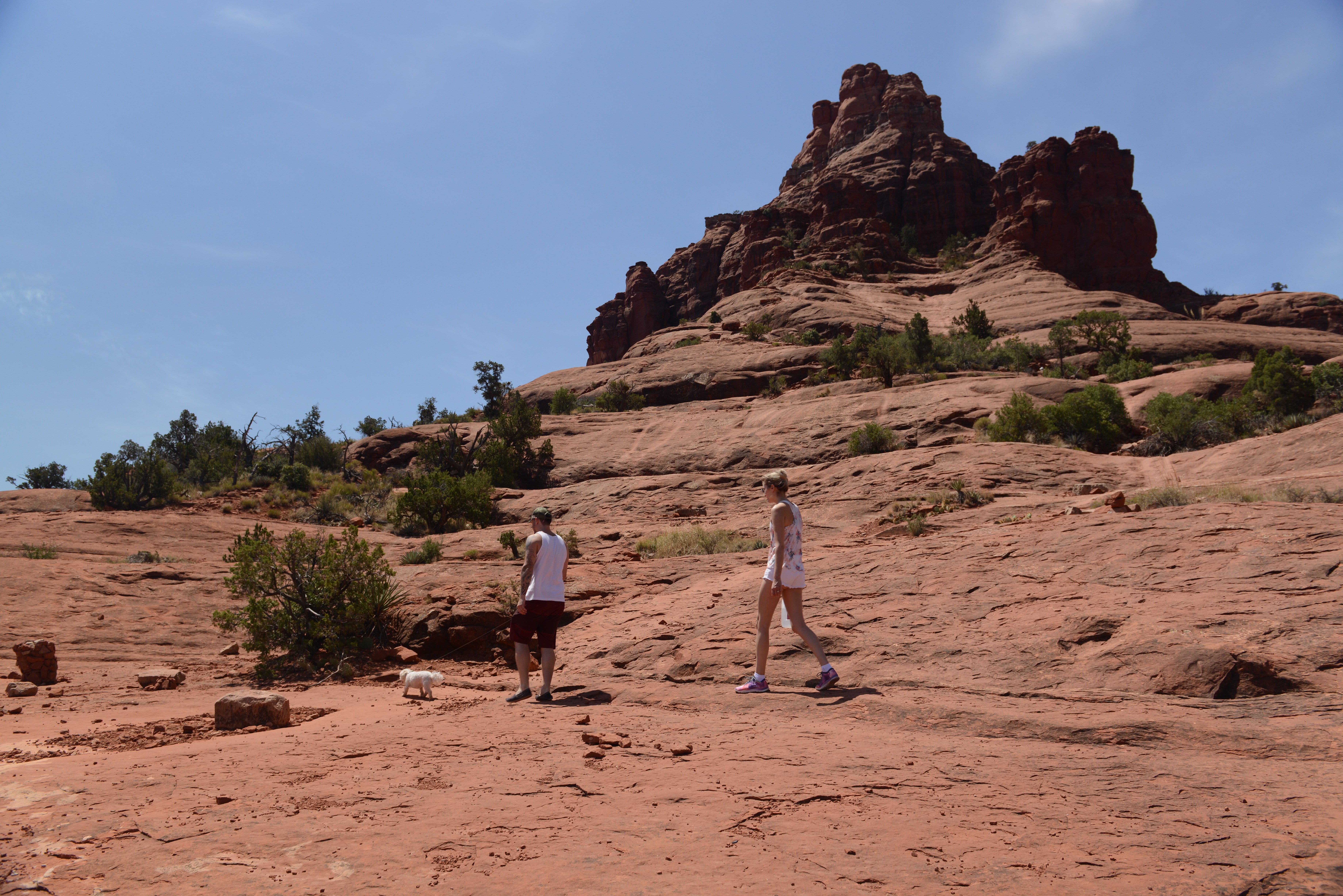 Free download high resolution image - free image free photo free stock image public domain picture -Hiker deciding to hike Cathedral Rock located in Sedona Arizona