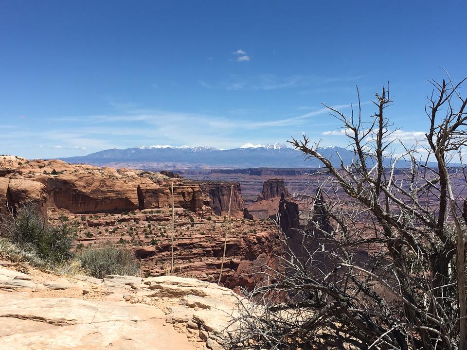 Free download high resolution image - free image free photo free stock image public domain picture  Desert landscape in Sedona, Arizona with plants