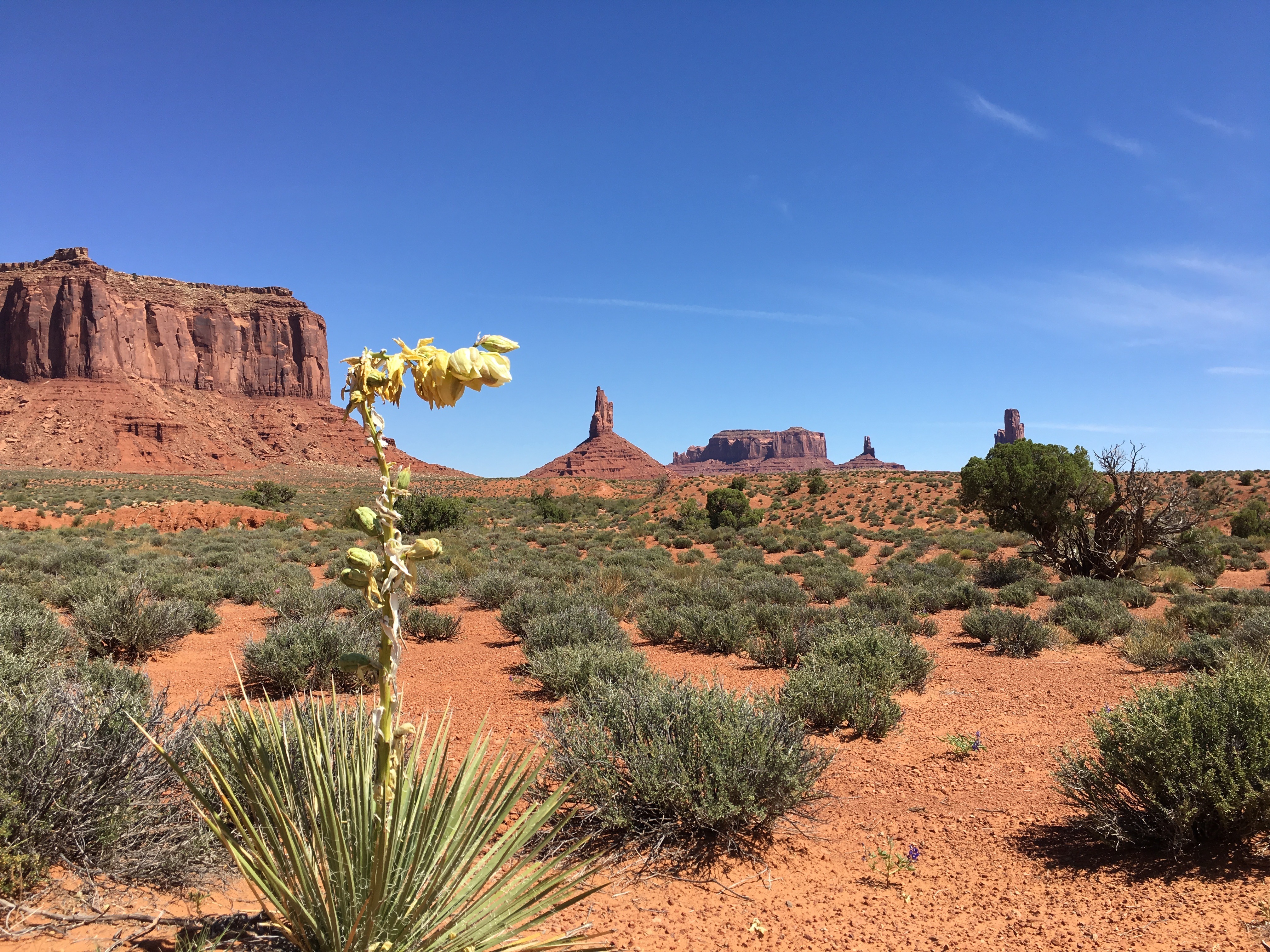 Free download high resolution image - free image free photo free stock image public domain picture -Cathedral Rock, Sedona, Arizona