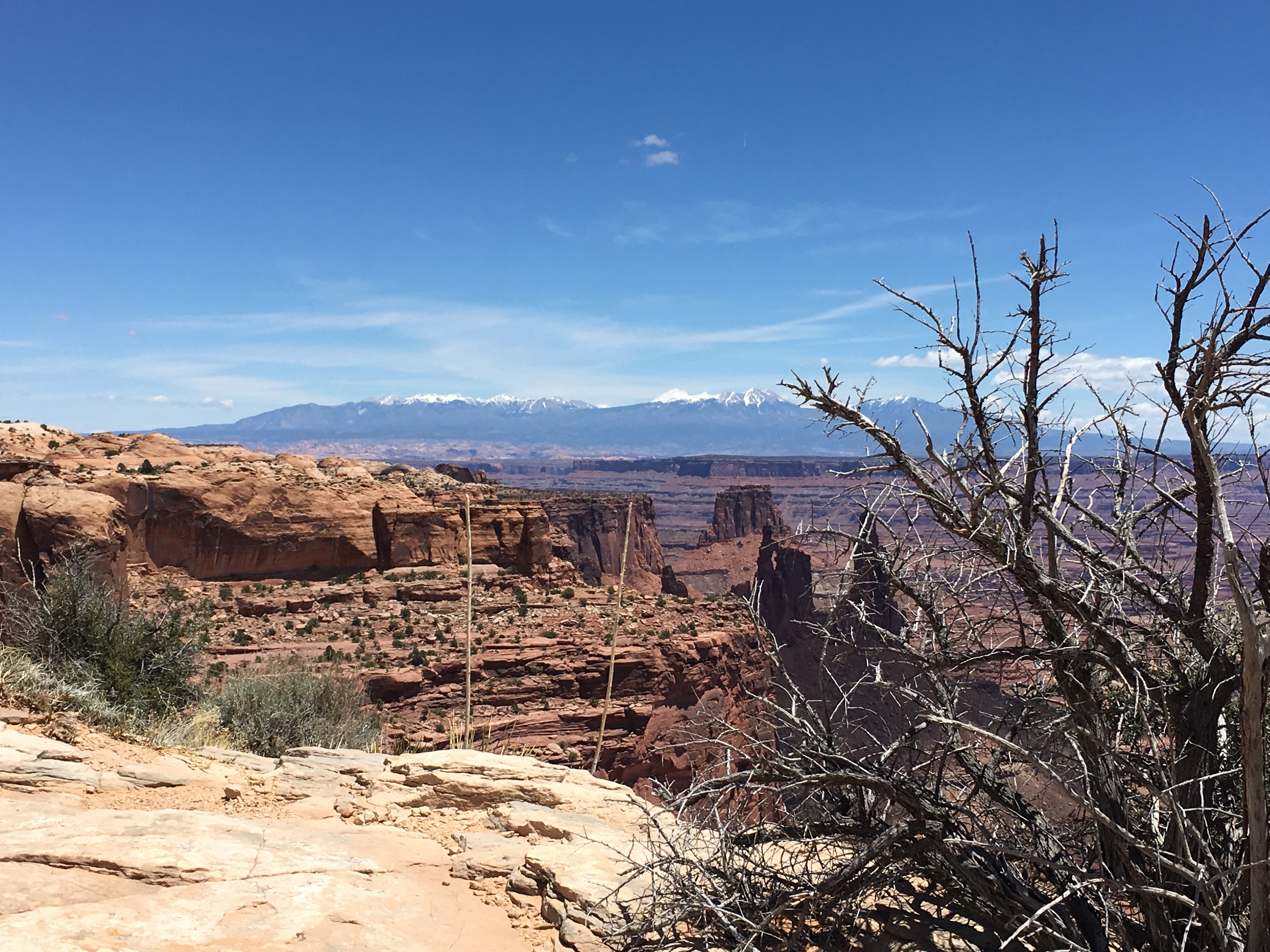 Free download high resolution image - free image free photo free stock image public domain picture -Desert landscape in Sedona, Arizona with plants