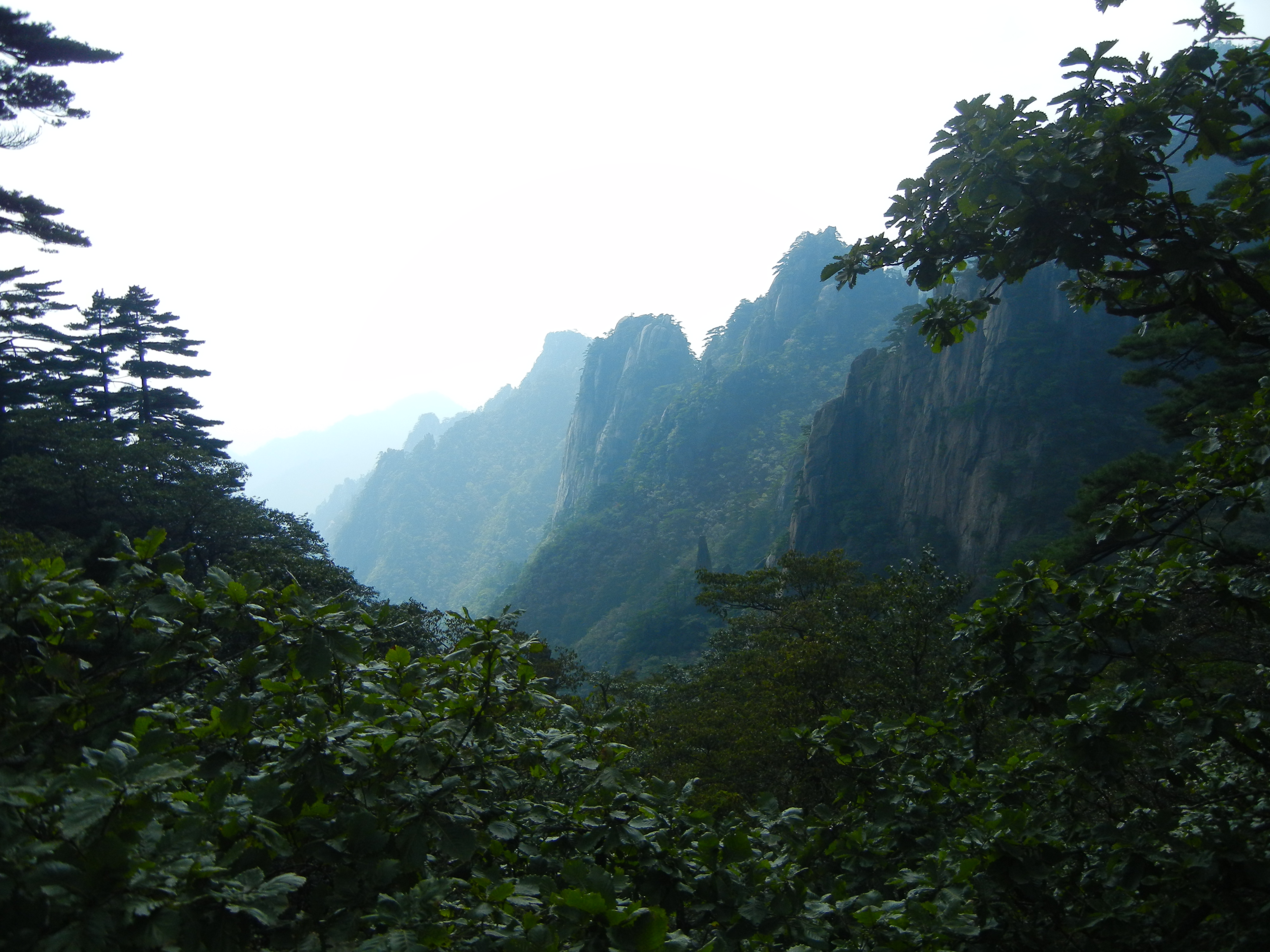 Free download high resolution image - free image free photo free stock image public domain picture -Mount Huangshan West Grand Canyon cloud