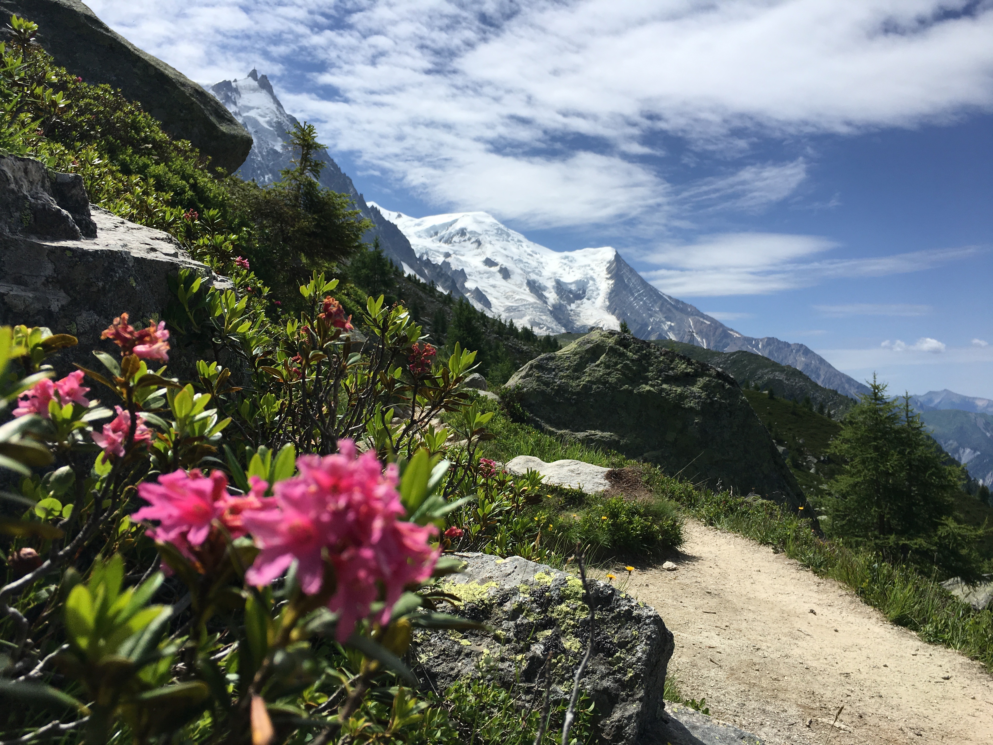 Free download high resolution image - free image free photo free stock image public domain picture -The famous Tour du Mont Blanc near Chamonix, France