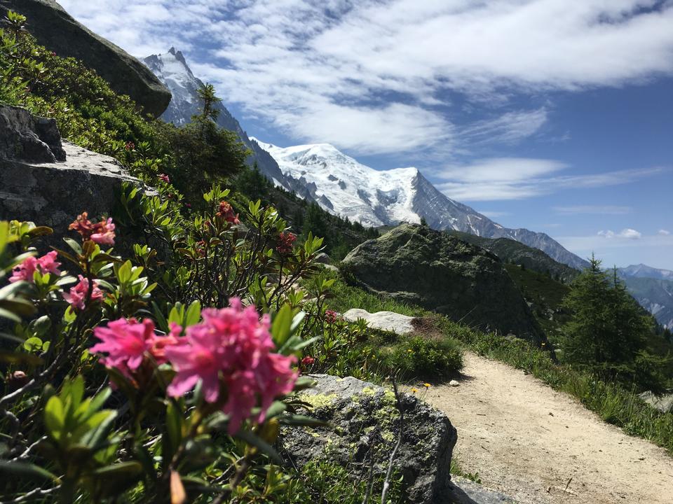 Free download high resolution image - free image free photo free stock image public domain picture  The famous Tour du Mont Blanc near Chamonix, France